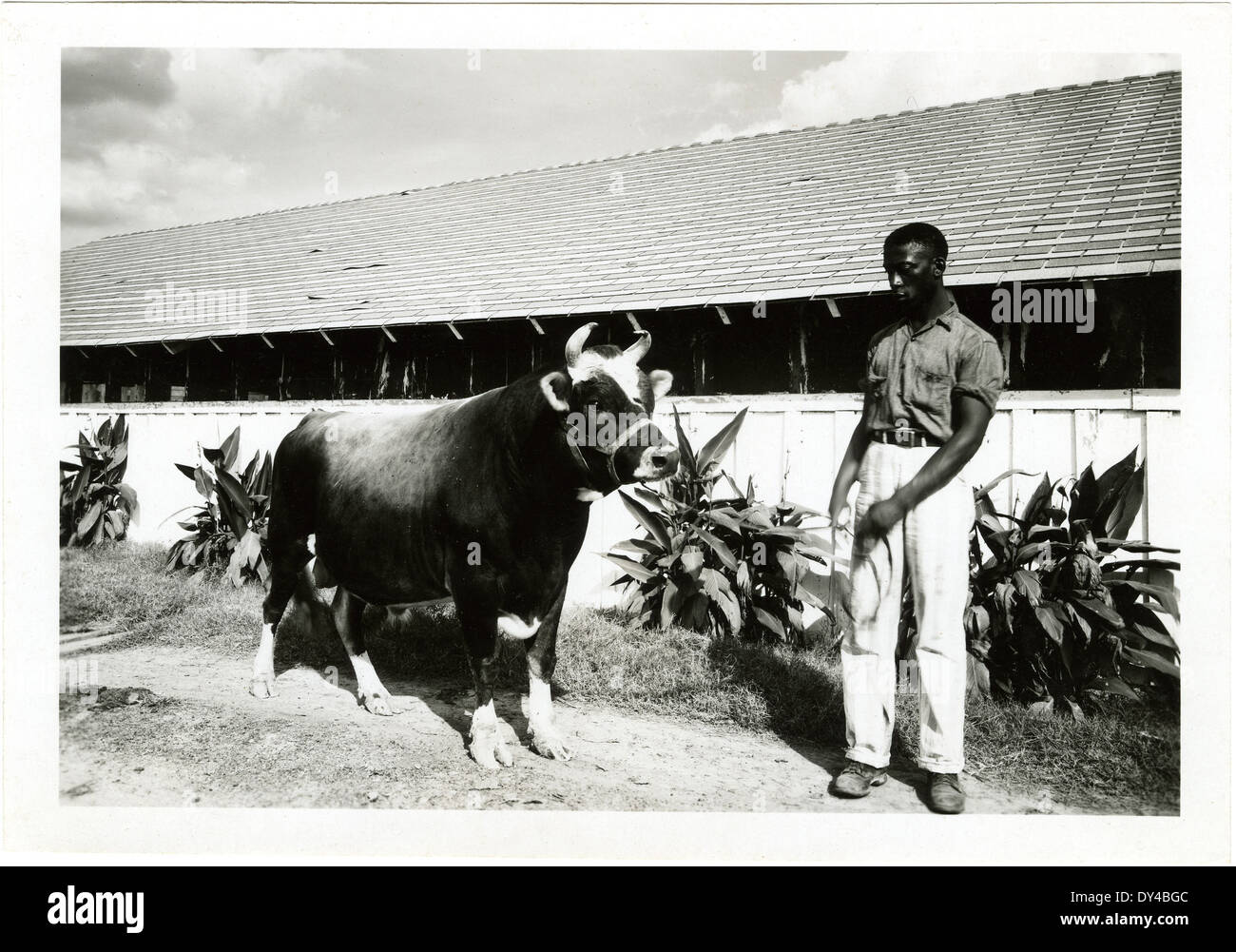 Reparaturen am Old Capitol Gebäude in Jackson, Mississippi, wurden um 1915 durchgeführt. Das Foto zeigt die Bemühungen, dieses historische Wahrzeichen zu erhalten. Stockfoto