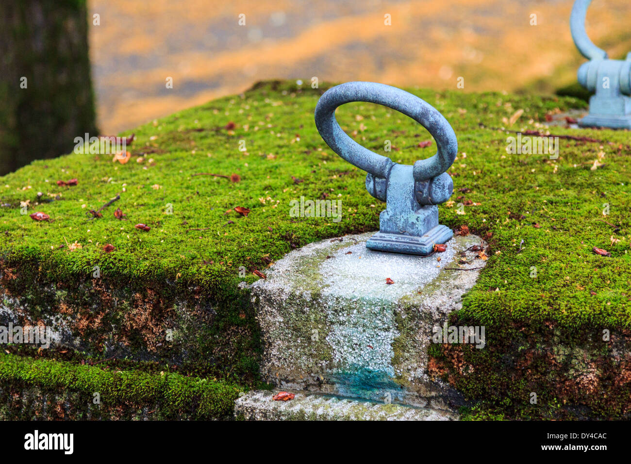 Ein Grab Platte Handle auf wo die Platte, mit Moos auf Mirogoj-Friedhof in Zagreb, Kroatien bedeckt ist Stockfoto