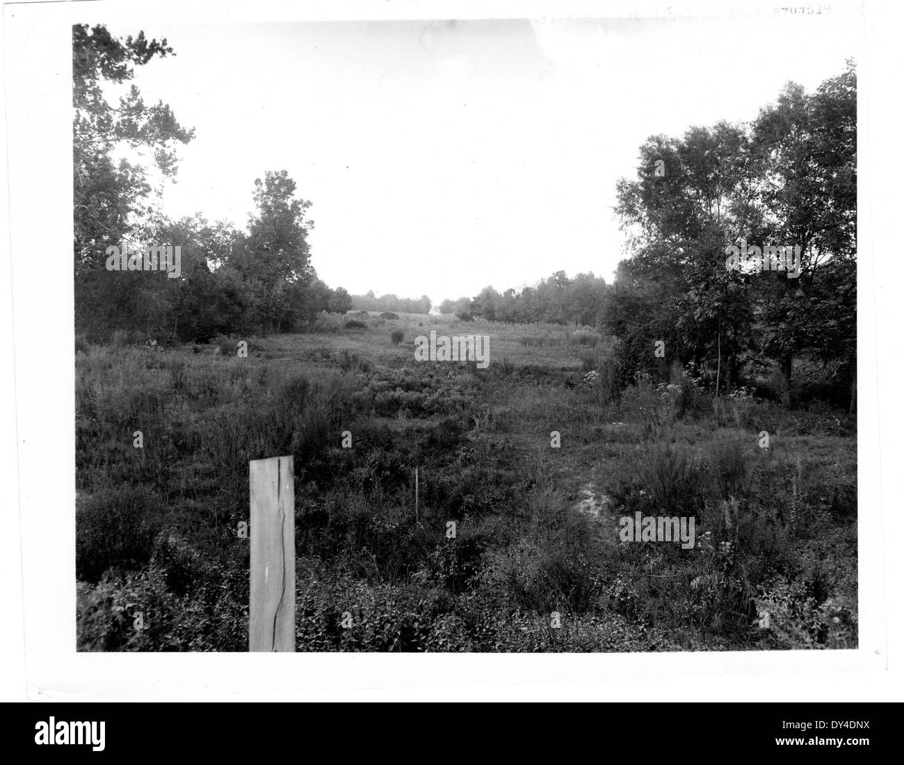 Ein Bild, das Reparaturen am alten Kapitol in Jackson, Mississippi, um 1915 dokumentiert und die Restaurierungsarbeiten an diesem historischen Gebäude zeigt. Stockfoto