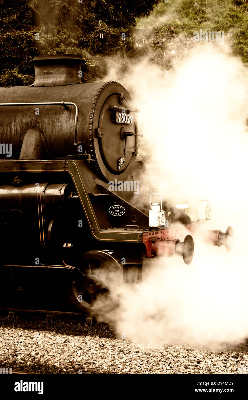 Dampfzug in North Yorkshire Railway Museumsbahn George Stephenson Stockfoto