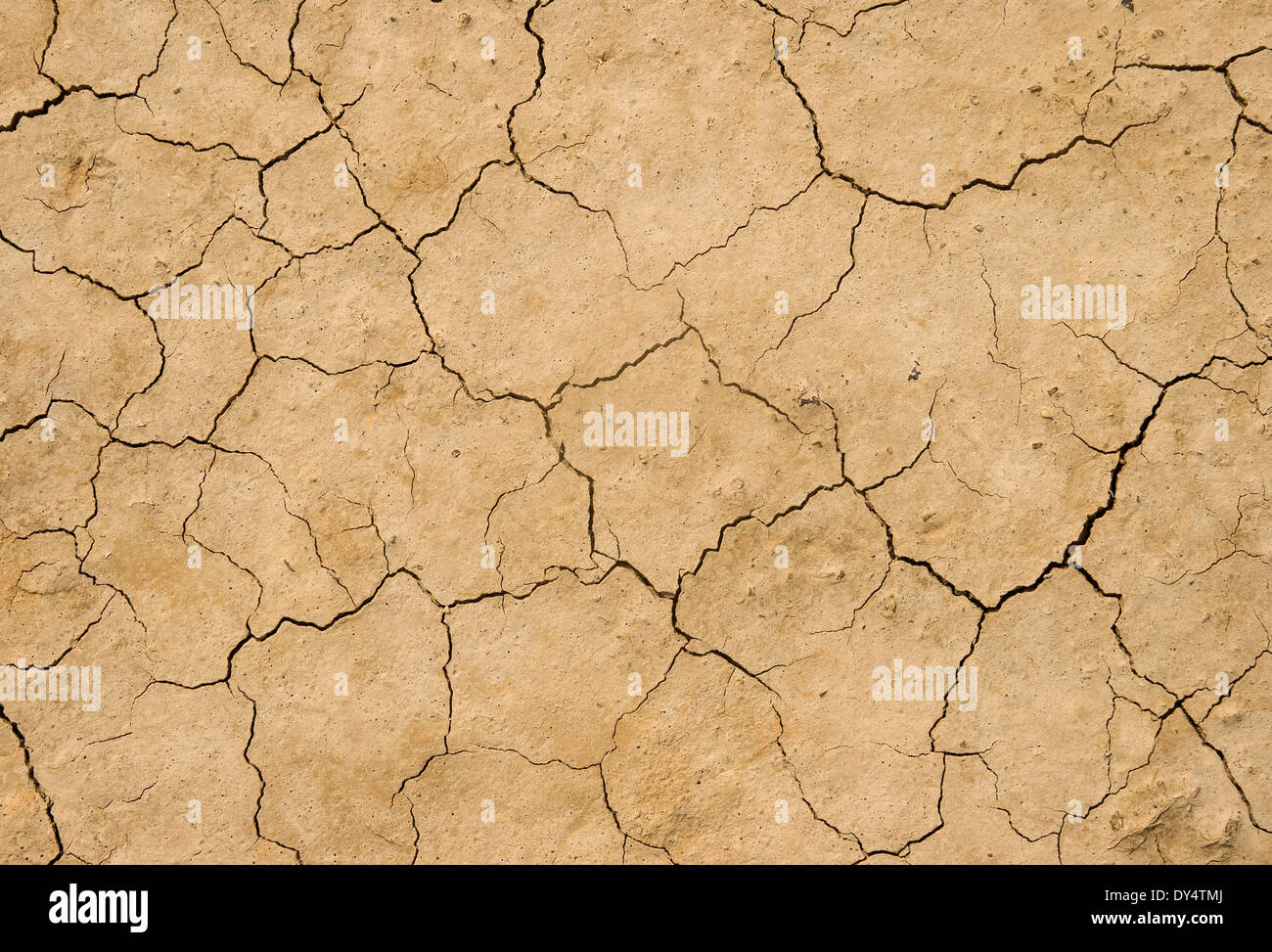 Nahaufnahme der Erde wegen der Trockenheit rissig Stockfoto