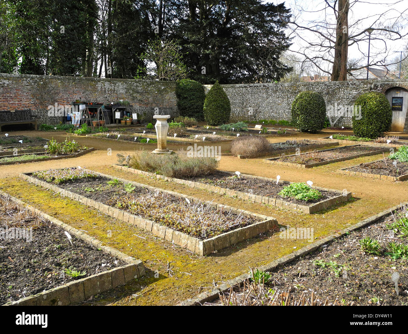 Petersfield Physic Gardens Garden in Petersfield, Hampshire enthält eine große Sammlung von kulinarischen und medizinischen Kräutern und Pflanzen. Stockfoto