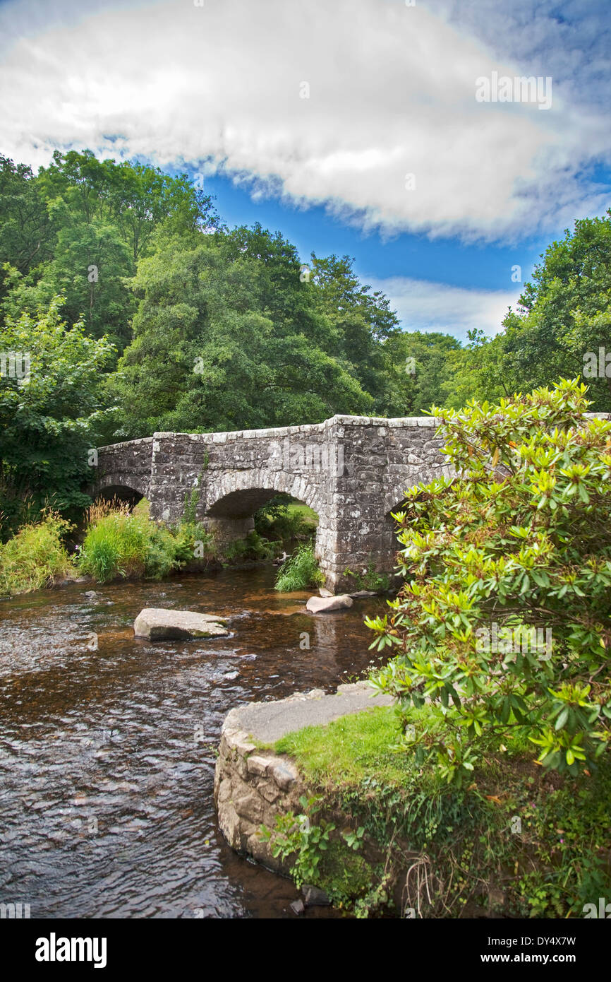 Fingle Bridge über den Fluß Teign, in der Nähe von Drewsteignton, Dartmoor, Devon, England Stockfoto