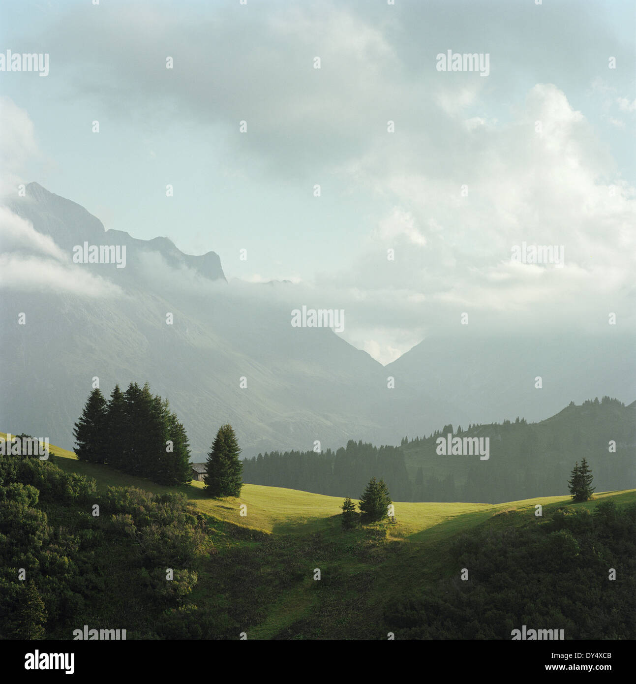 Berge und Landschaft, Lech, Österreich Stockfoto