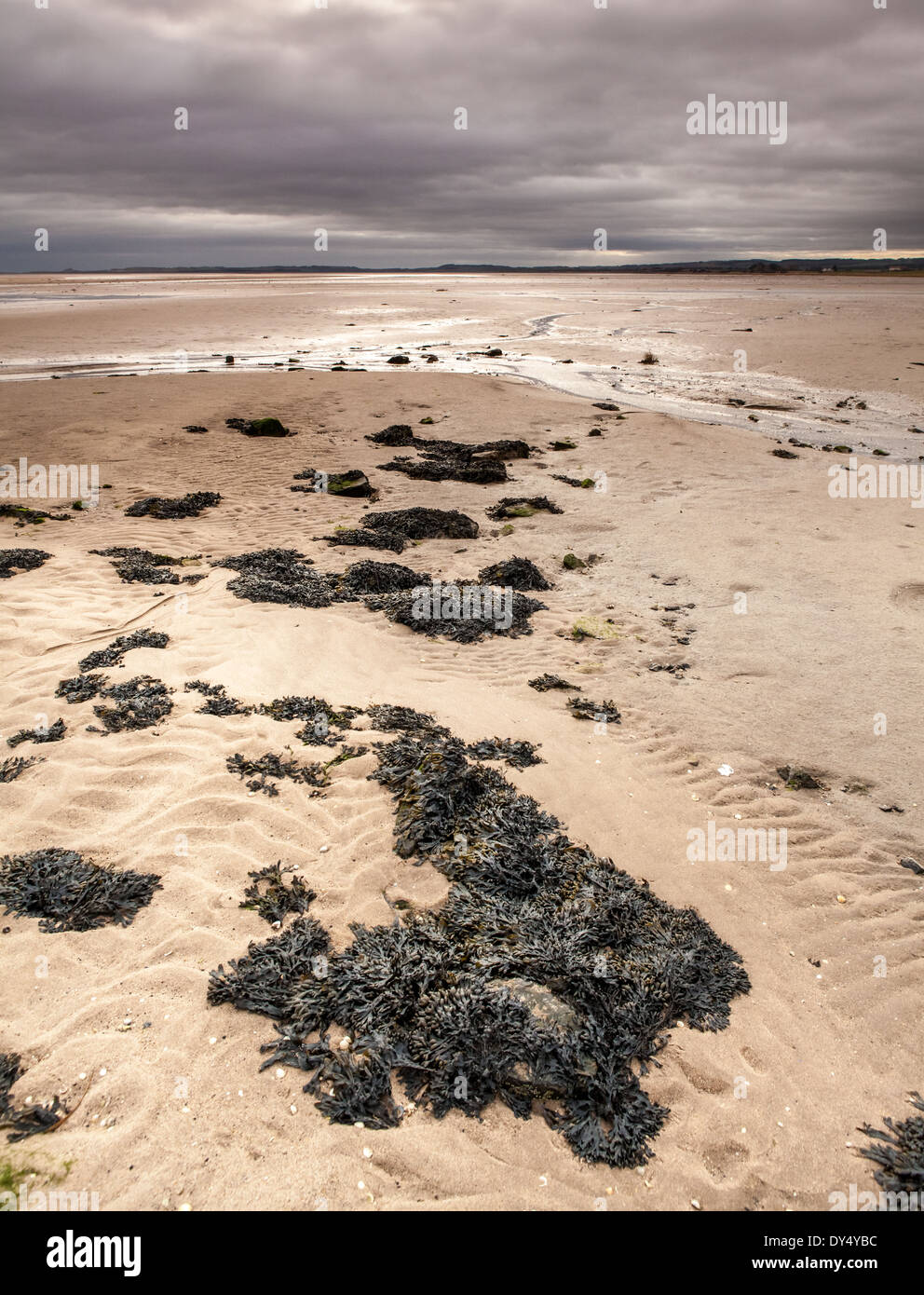 Holy Island Sand auf heiligen Insel Lindisfarne, England Stockfoto