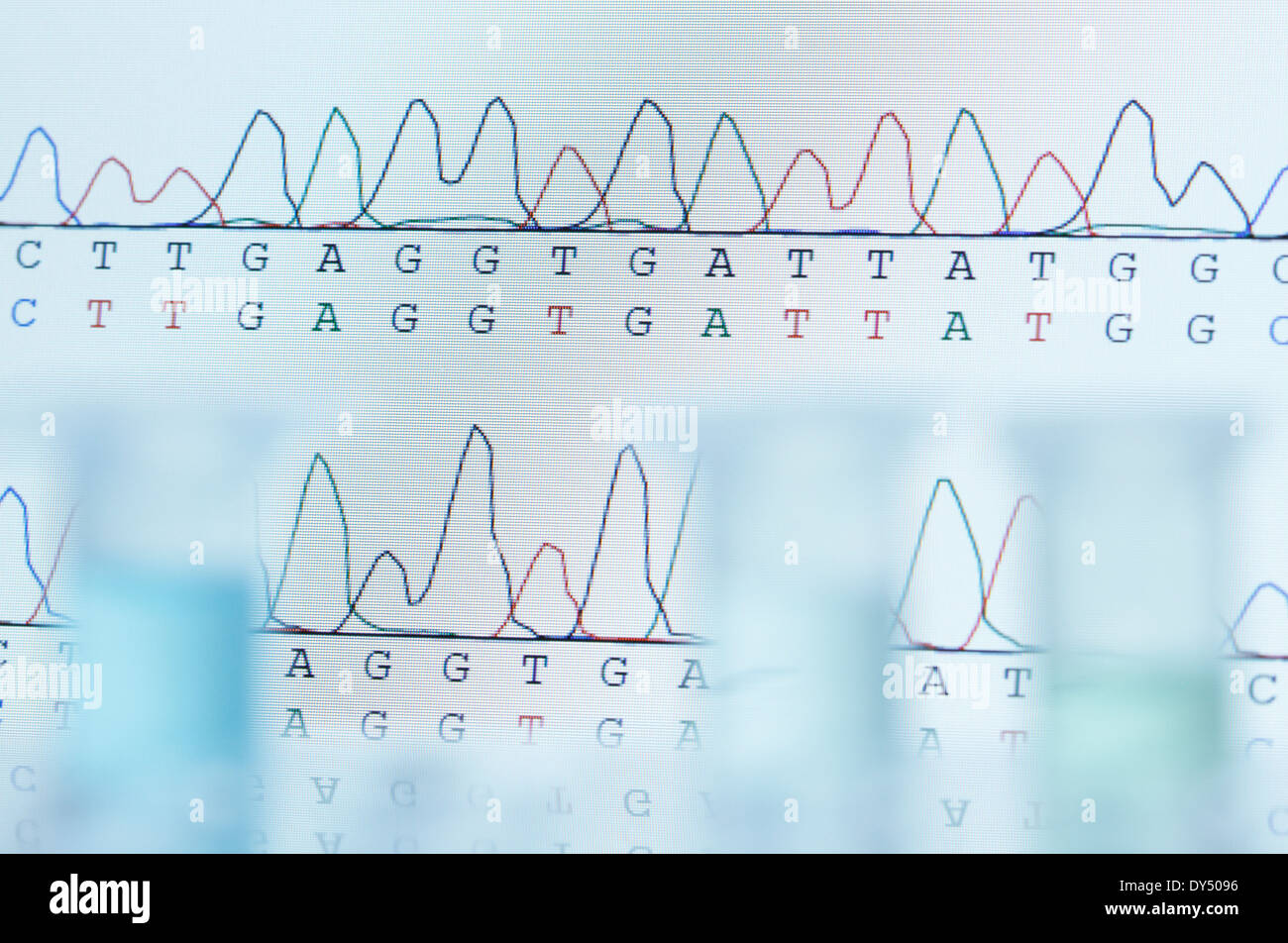 DNA Sequenzierung Computer-Monitor anzeigen Ergebnisse der automatisierten DNA-Sequenzierung mit defokussierten Mikrozentrifugenröhrchen vorne Stockfoto
