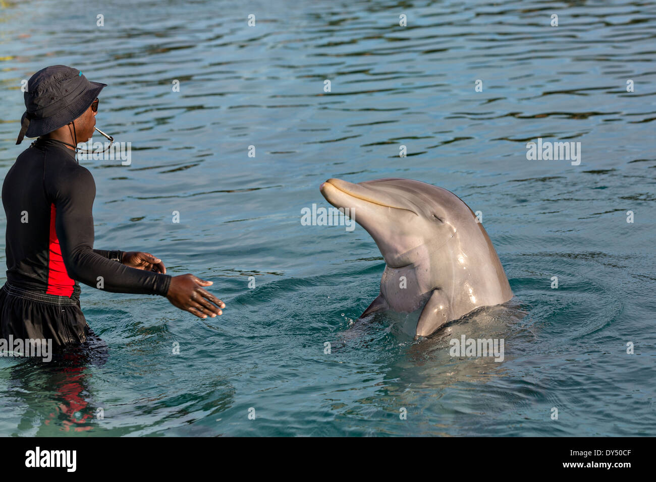 Atlantis Resort & Casino Dolphin Cay Paradise Island Nassau, Bahamas. Stockfoto