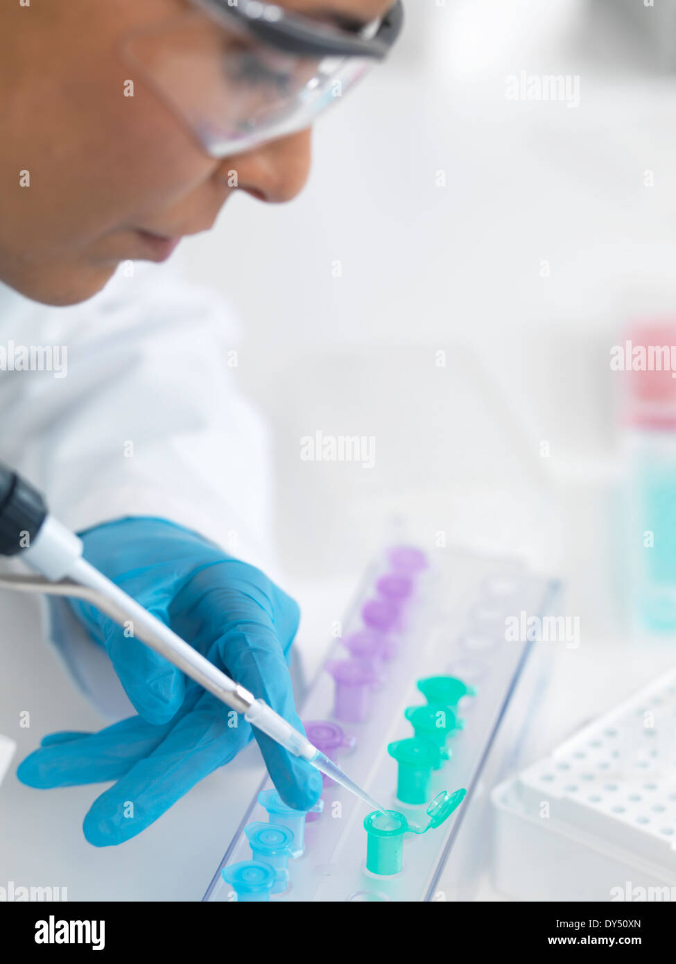 Wissenschaftlerin Pipettieren DNA-Proben für die Analyse Stockfoto