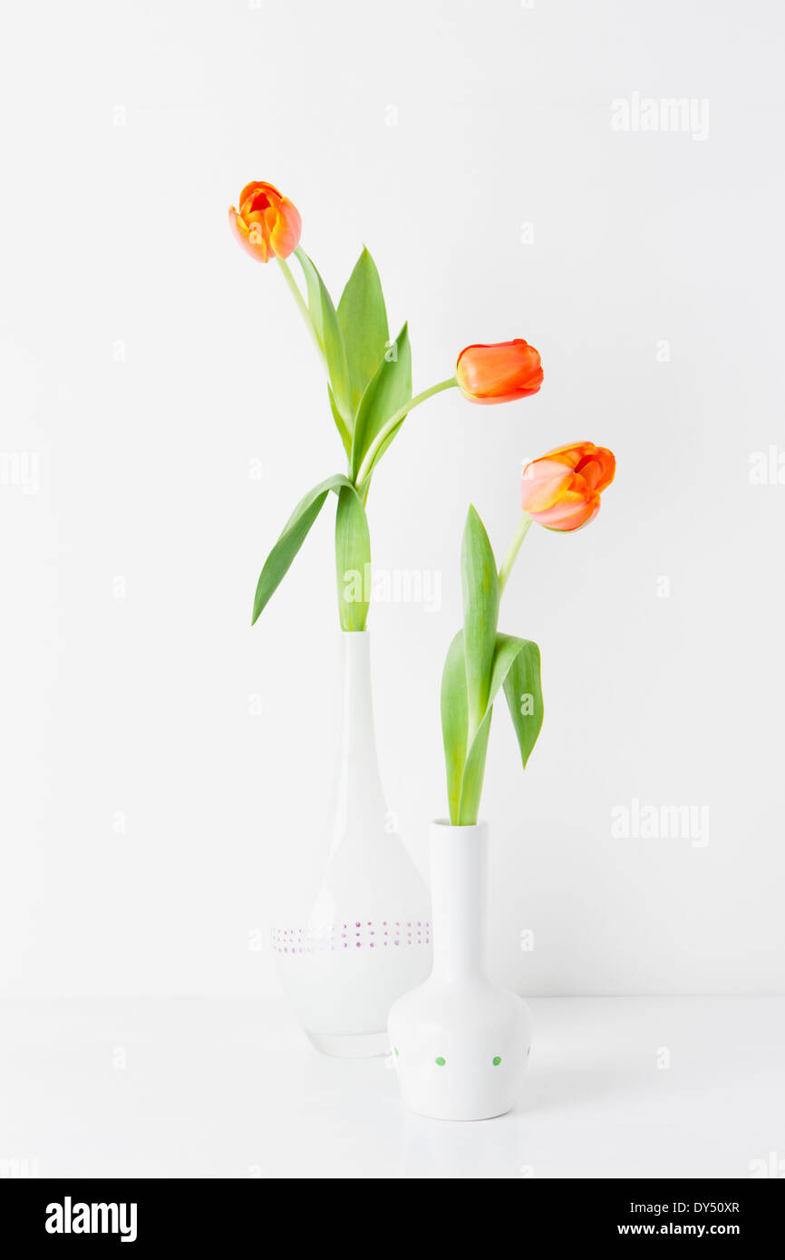 Stillleben mit zwei Vasen und orange Tulpen Stockfoto