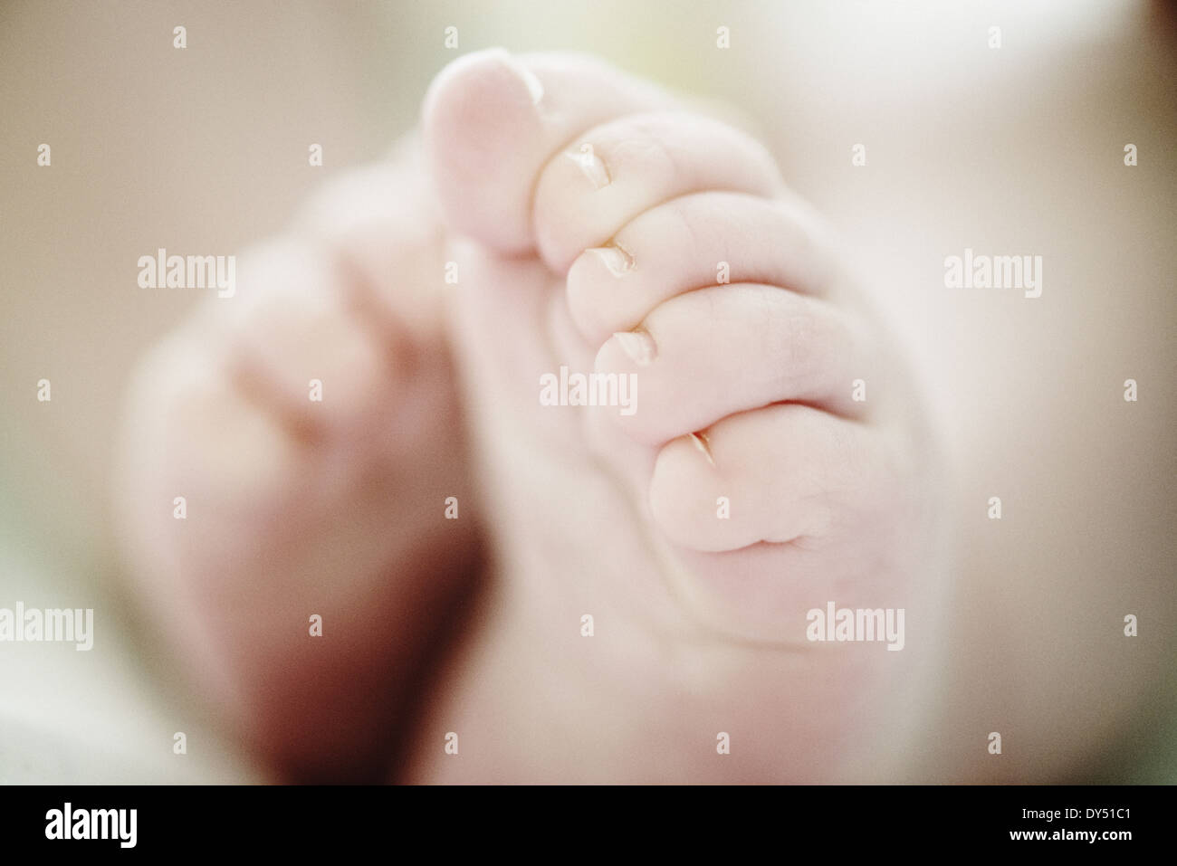 Nahaufnahme eines 4 Monate alten Baby jungen Füße Stockfoto