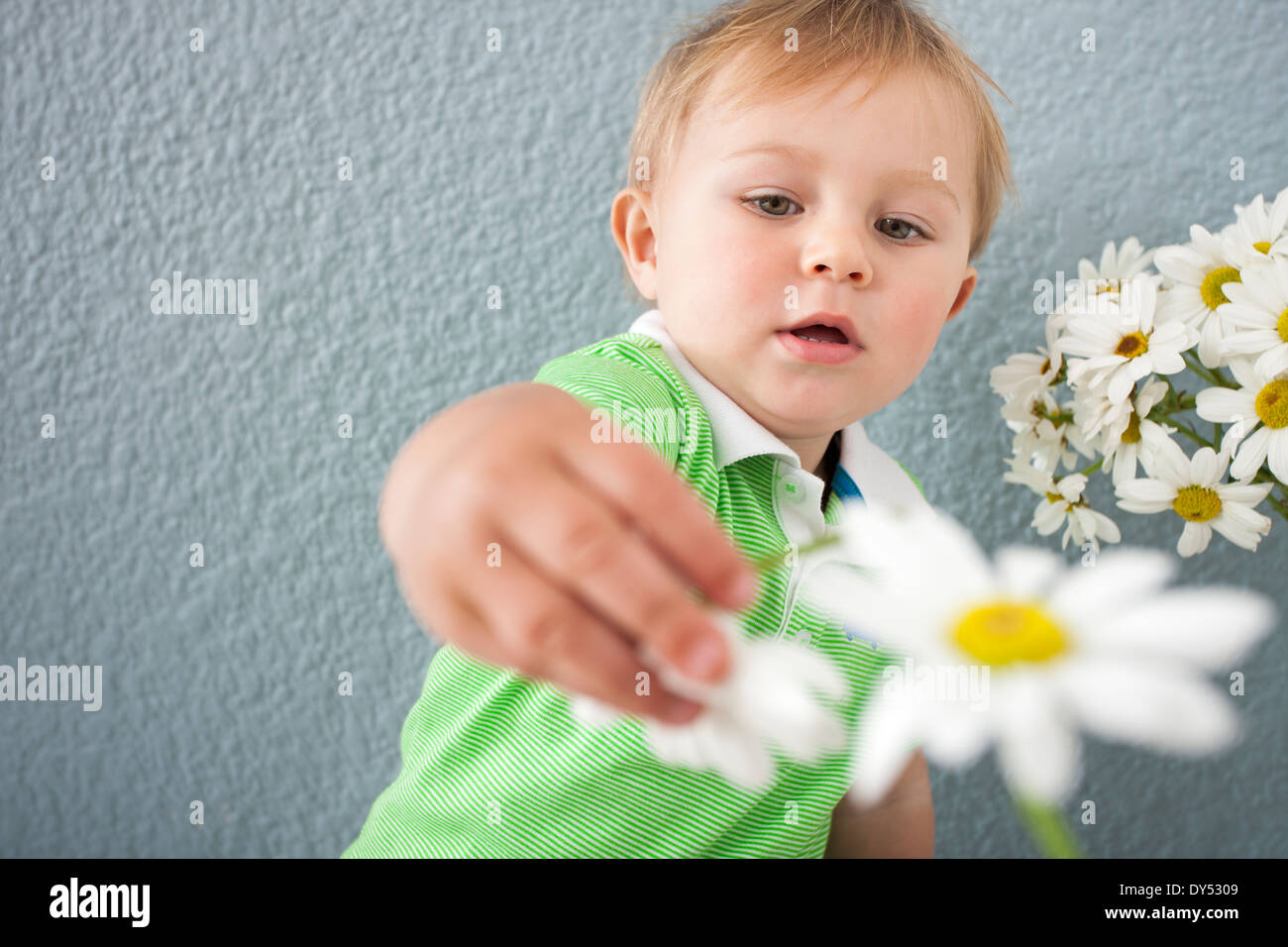 Baby Junge spielt mit Blumen Stockfoto