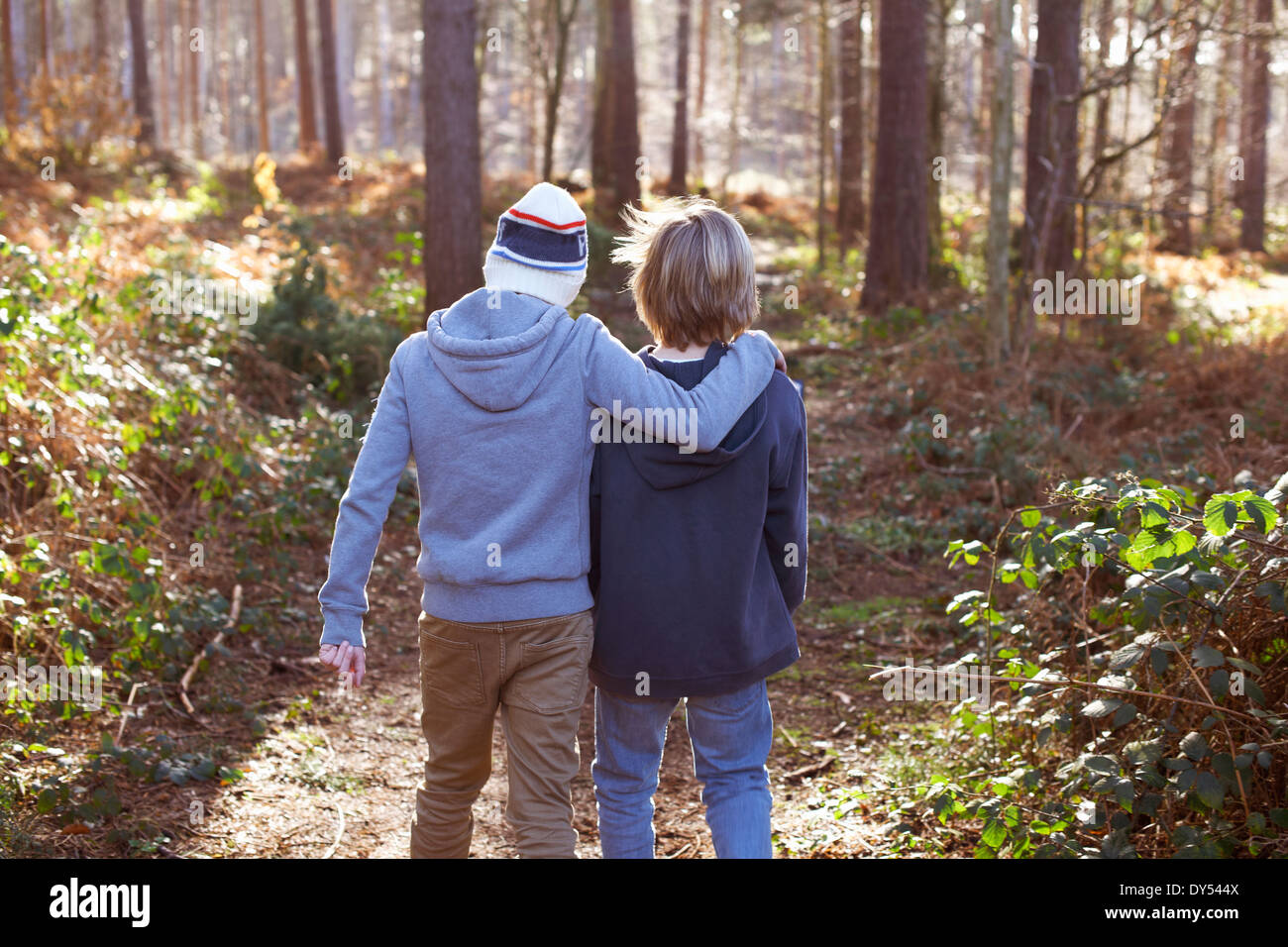 Zwillingsbrüder zusammen spazieren im Wald Stockfoto