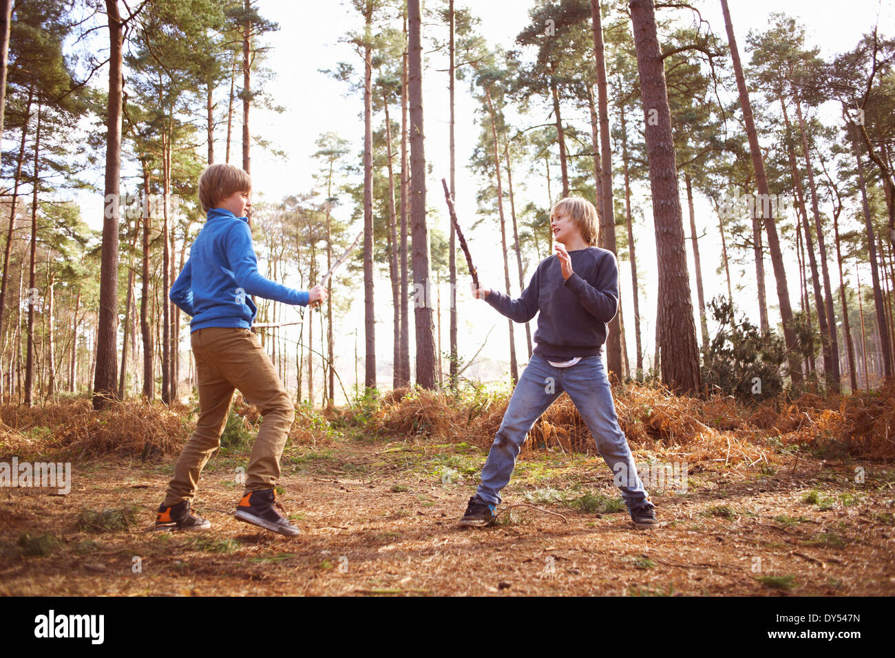 Zwillingsbrüder spielen kämpfen mit Stöcken im Wald Stockfoto