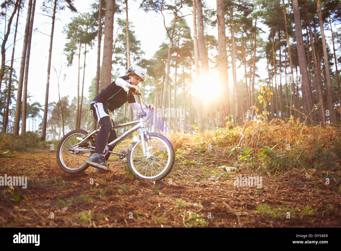 Junge seine BMX durch Wald reiten Stockfoto