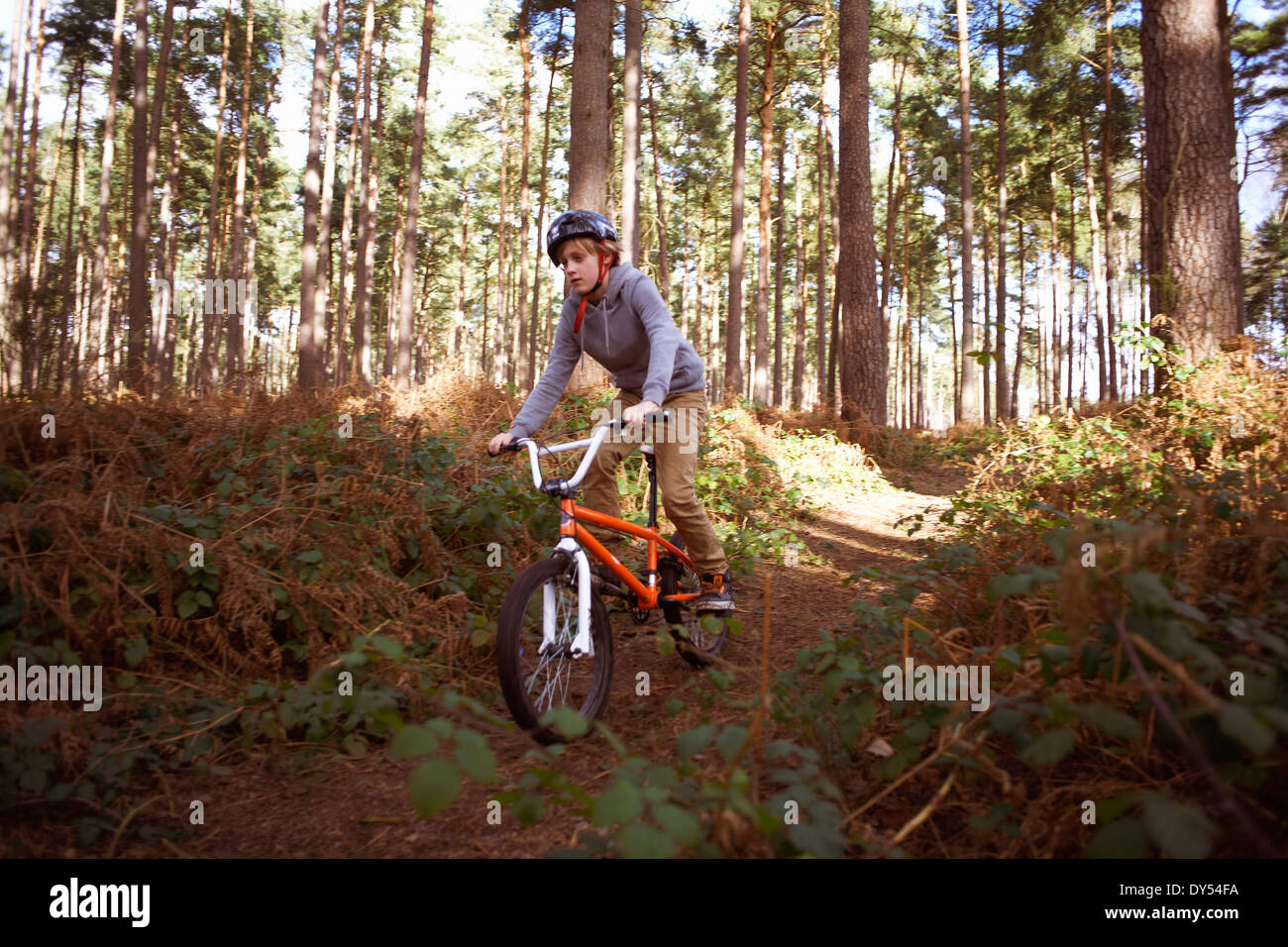 Junge seine BMX im Wald reiten Stockfoto