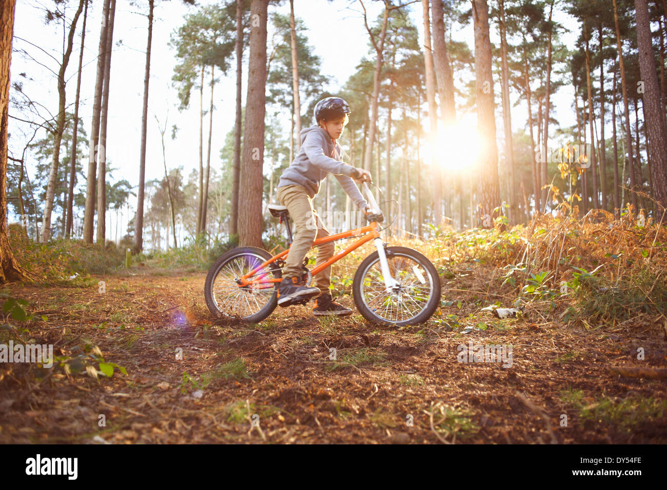 Junge sein BMX Fahrrad durch Wald Stockfoto