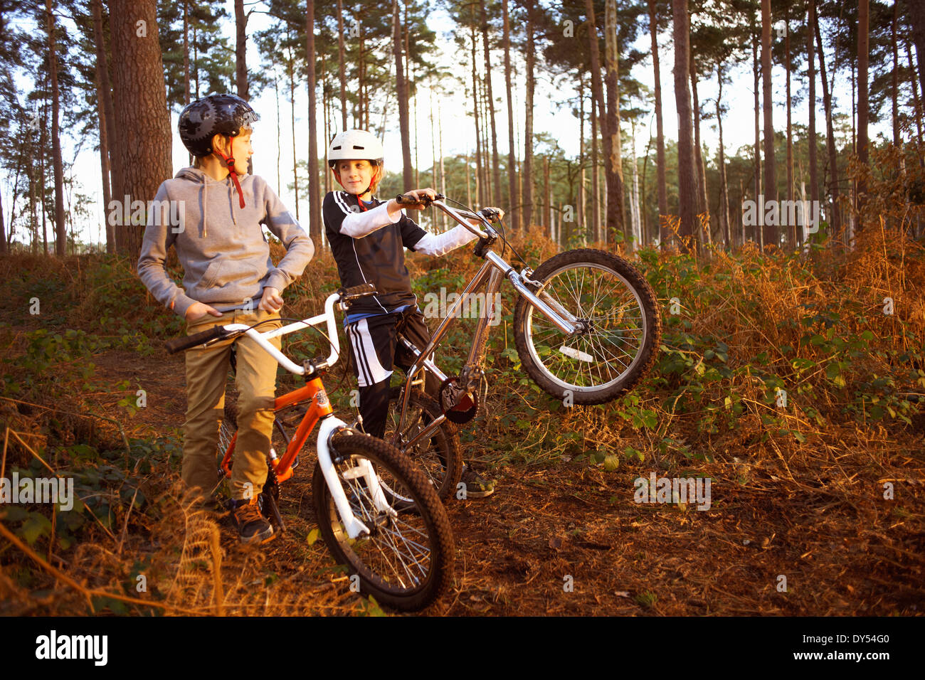 Zwillingsbrüder halten BMX-Bikes im Chat im Wald Stockfoto