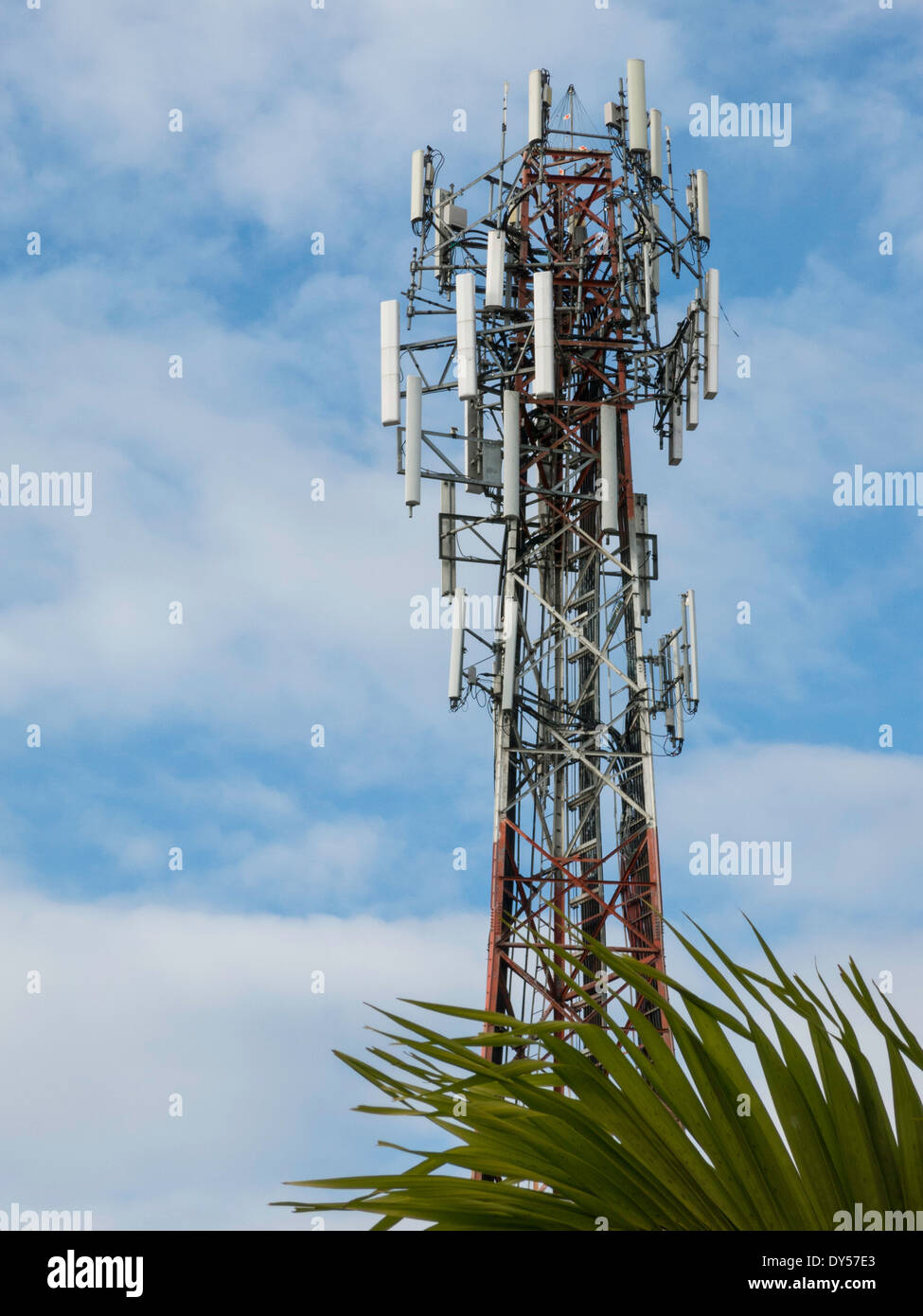 Antennen auf einem zellularen Telefon Tower, USA Stockfoto