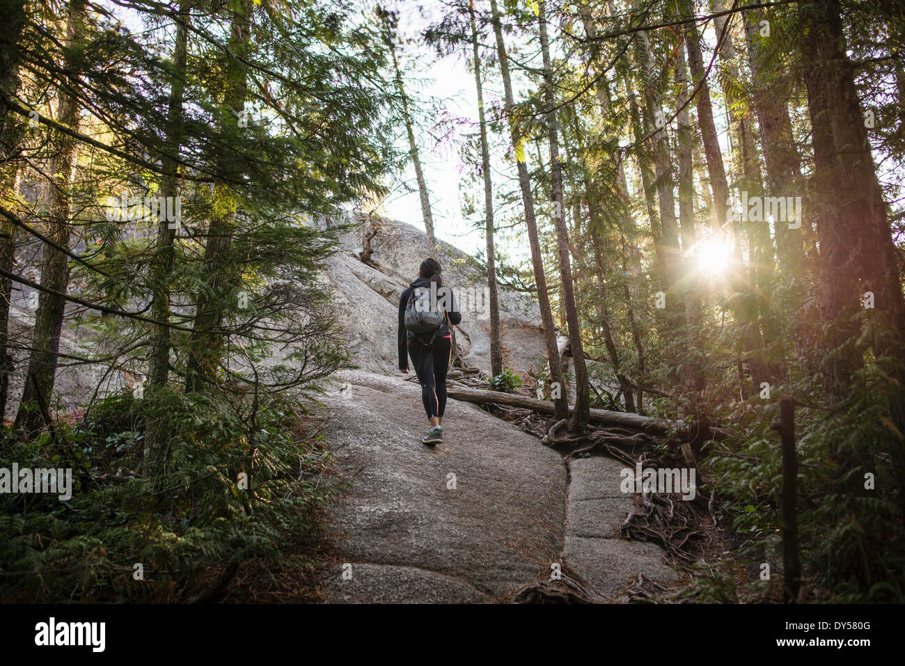 Junge Frau, die zu Fuß durch Wald, Squamish, British Columbia, Kanada Stockfoto