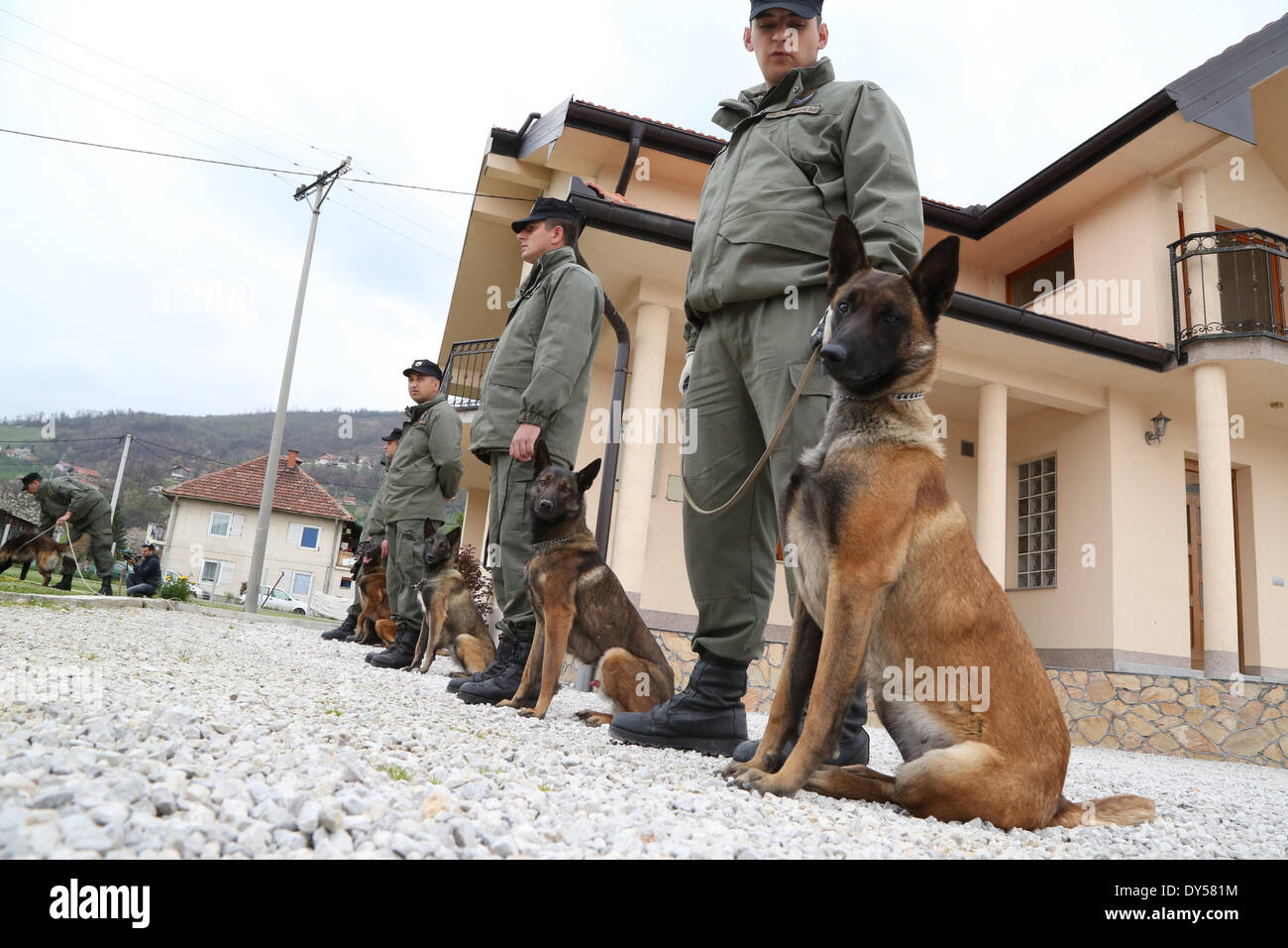 Sarajevo, Bosnien und Herzegowina. 7. April 2014. Trainer und Minenräumung Hunde führen Sie Übungen in Sarajevo, Bosnien und Herzegowina, am 7. April 2014. Ministerium für auswärtige Angelegenheiten der Norwegen spendet 7 Hunde, für die Minenräumung in Bosnien-Herzegowina am Montag trainiert. © Haris Memija/Xinhua/Alamy Live-Nachrichten Stockfoto