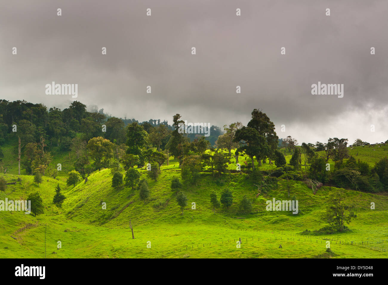 Grüne Felder und die bewaldeten Hügel an der Grenze von Volcan Baru National Park, etwas außerhalb von Cerro Punta in der Provinz Chiriqui, Republik Panama. Stockfoto