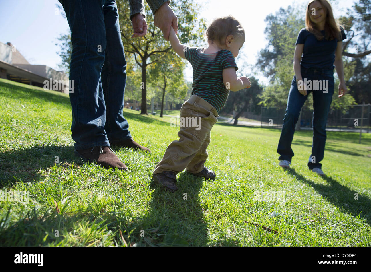 Baby Boy auf Rasen laufen lernen Stockfoto