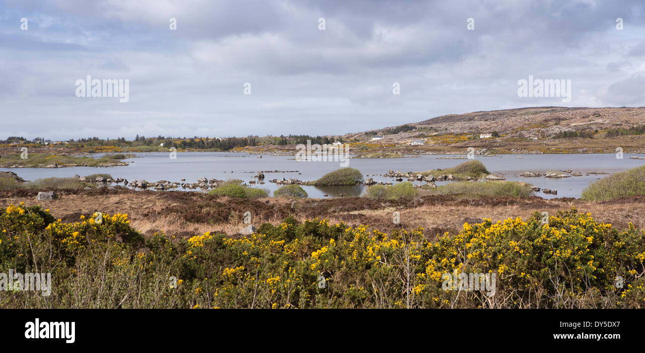 Irland, Co. Donegal, The Rosses Dungloe Binnenfischerei See, Panorama Stockfoto