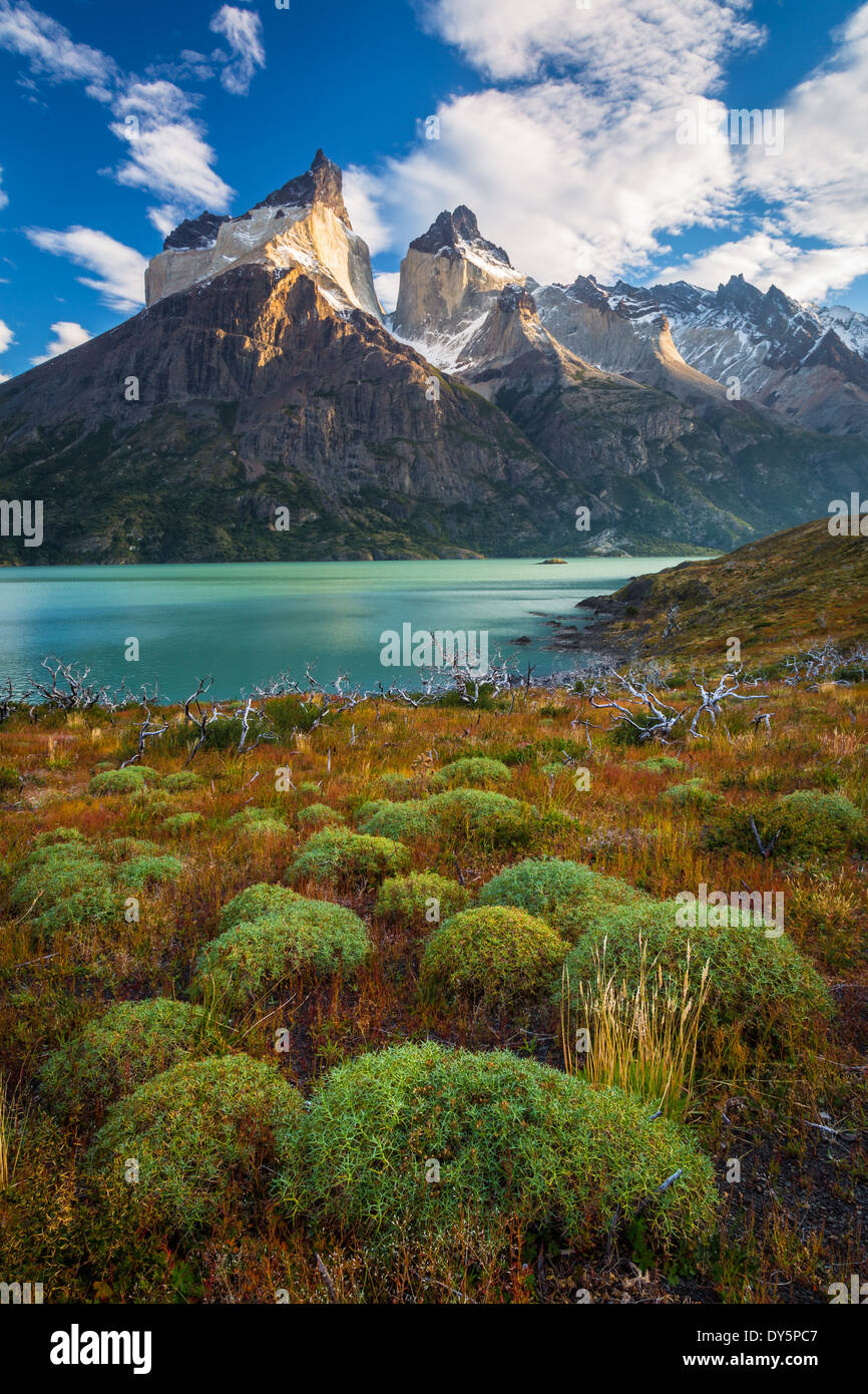 Los Cuernos überragt Lago Nordenskjold im Torres del Paine, chilenischen Teil Patagoniens Stockfoto