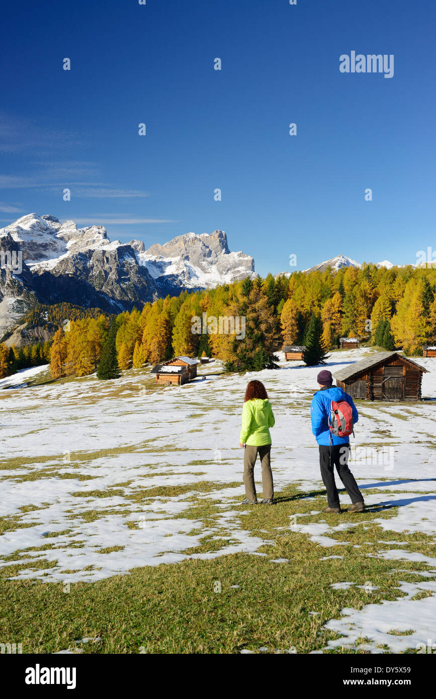 Zwei Wanderer zu Fuß über eine Wiese mit Lärchen im Herbst Farben anzeigen, Puez und Geisler, Tal Val Badia, Stockfoto