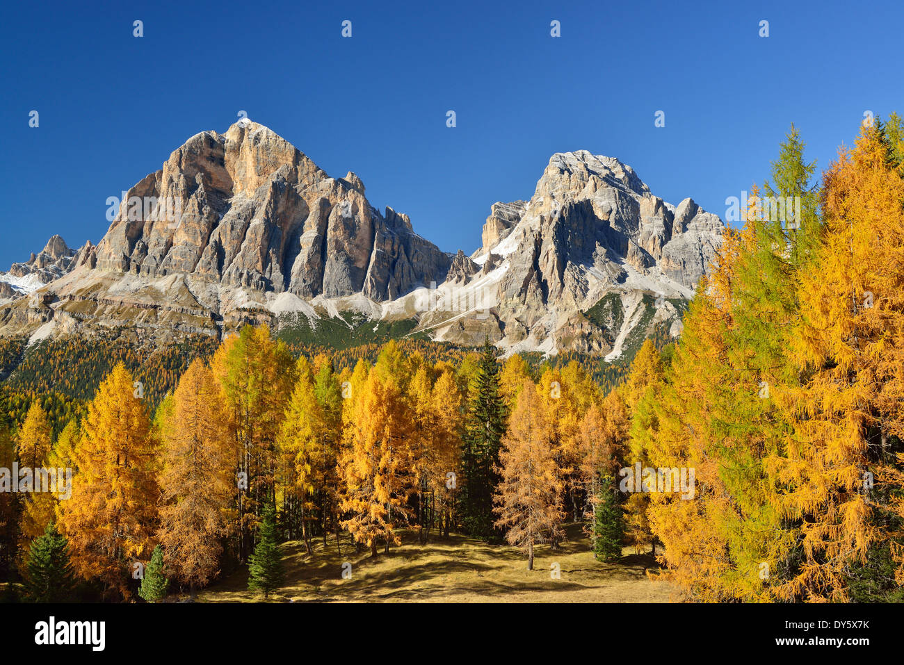 Tofana di Rozes und Tofana di Mezzo über Lärchen im Herbst Farben, Cortina D´Ampezzo, Dolomiten, UNESCO-Weltkulturerbe Stockfoto