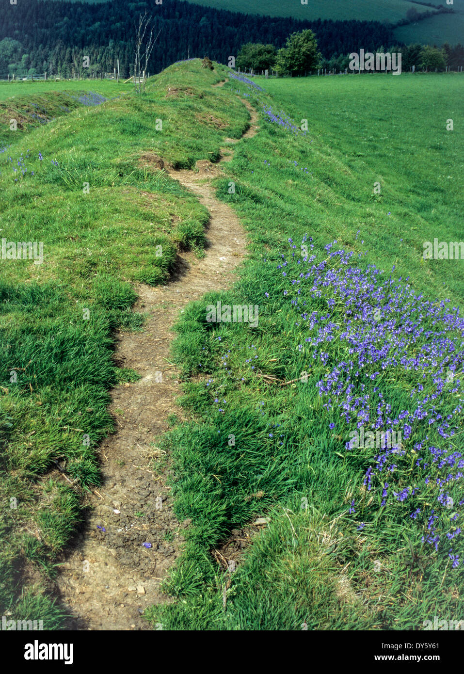 England, Offa es Dyke Fußweg auf dem Deich, südlich von Montgomery. Stockfoto