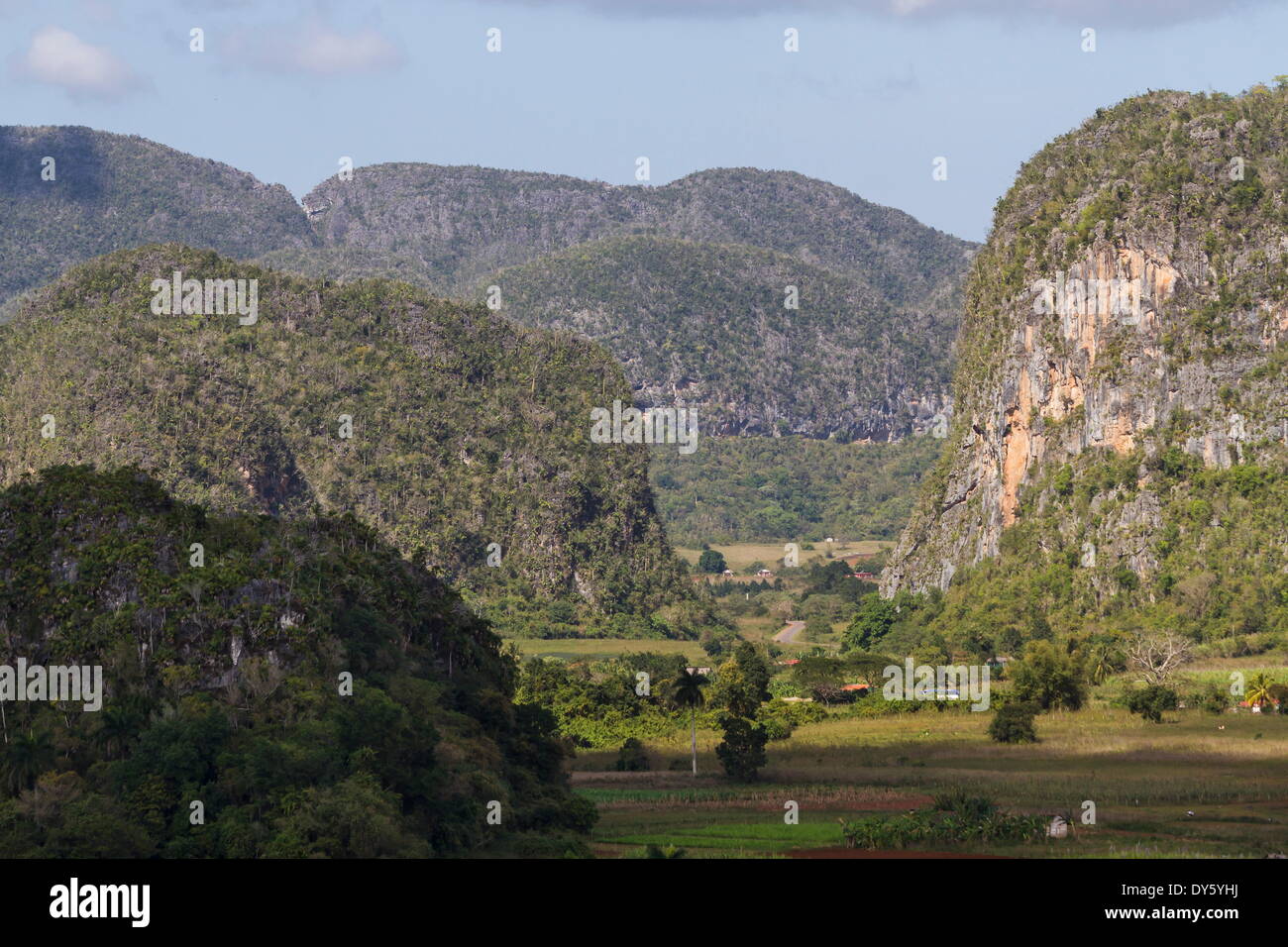 Kalkstein Mogotes, Vinales Tal UNESCO World Heritage Site, Pinar Del Rio, Kuba, Karibik, Karibik, Mittelamerika Stockfoto
