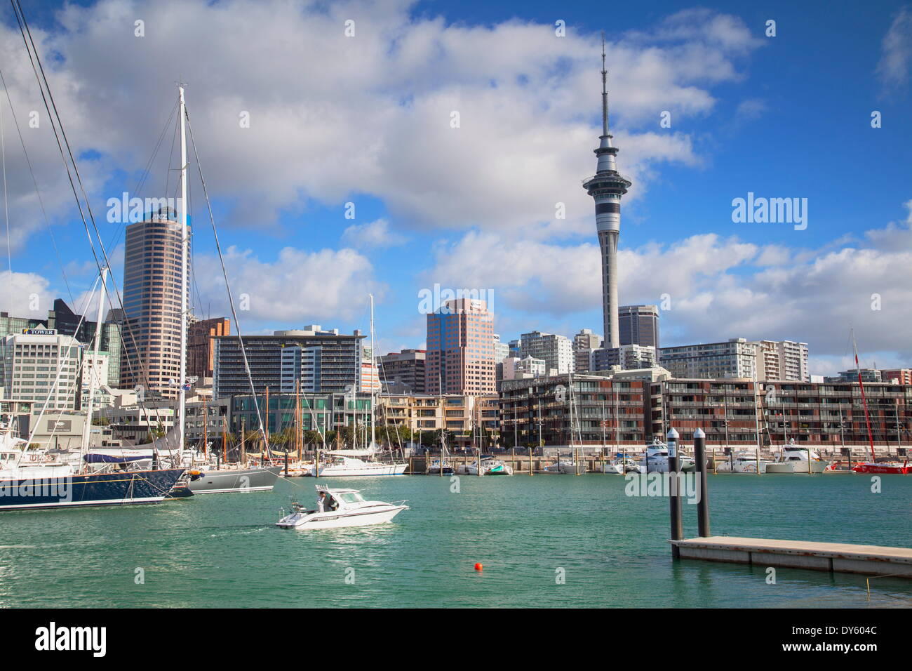 Viaduct Harbour und Sky Tower, Auckland, Nordinsel, Neuseeland, Pazifik Stockfoto