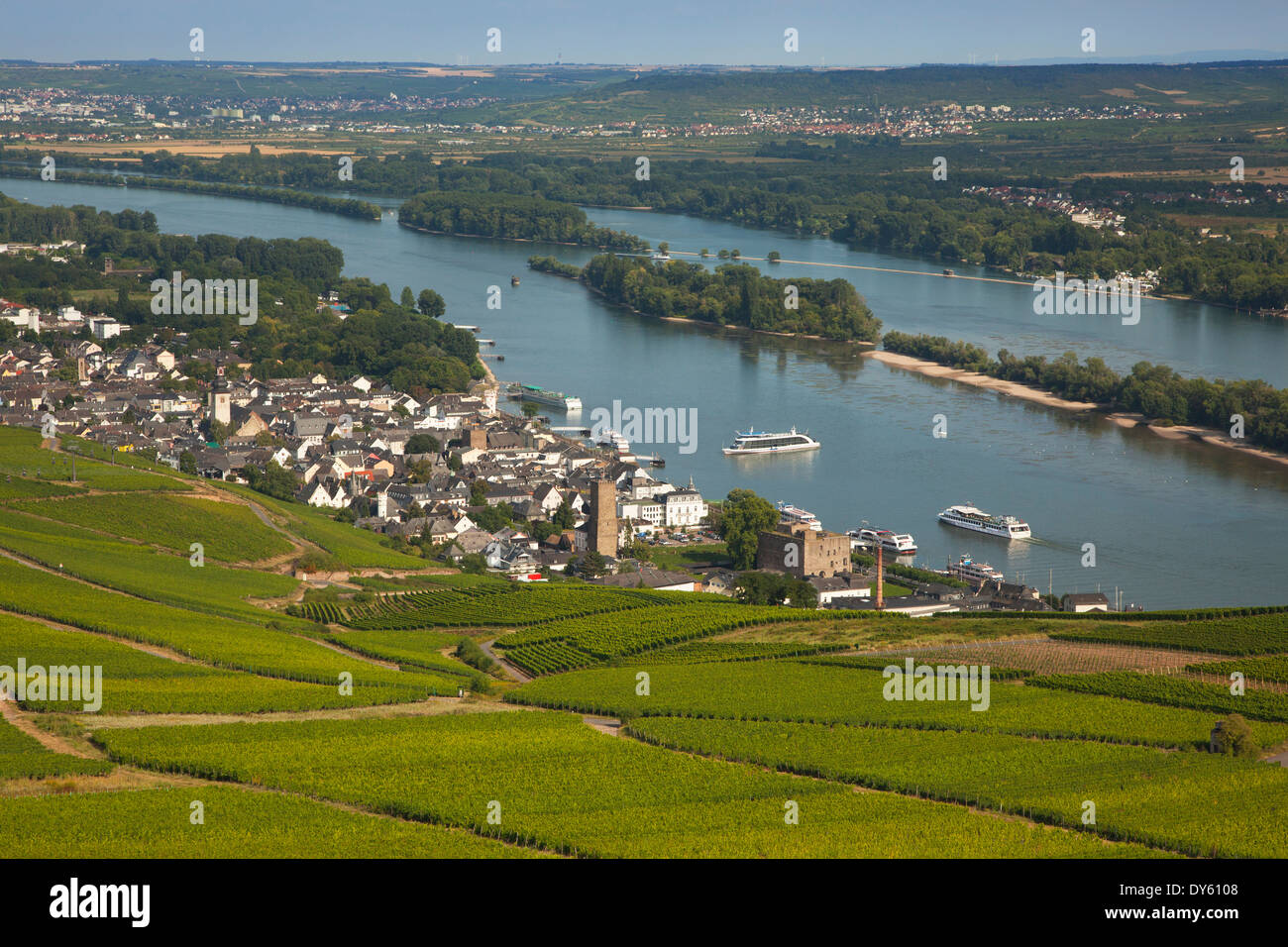 Blick auf Rüdesheim, Rheingau, Rhein, Hessen, Deutschland Stockfoto