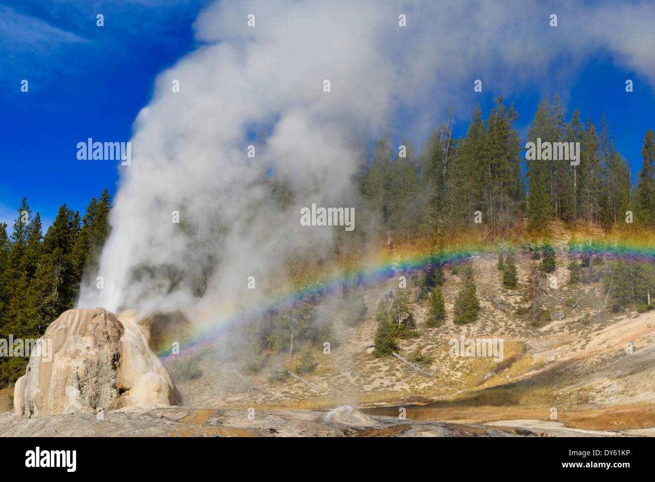 Lone Star Geysir bricht aus und schafft Regenbogen, der UNESCO, Yellowstone-Nationalpark, Wyoming, USA Stockfoto