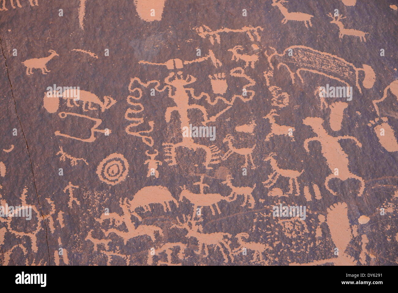Uralte indische Felsmalereien, Petroglyphen, Zeitung Rock, in der Nähe von The Needles Sektion des Canyonlands National Park, Utah, USA Stockfoto