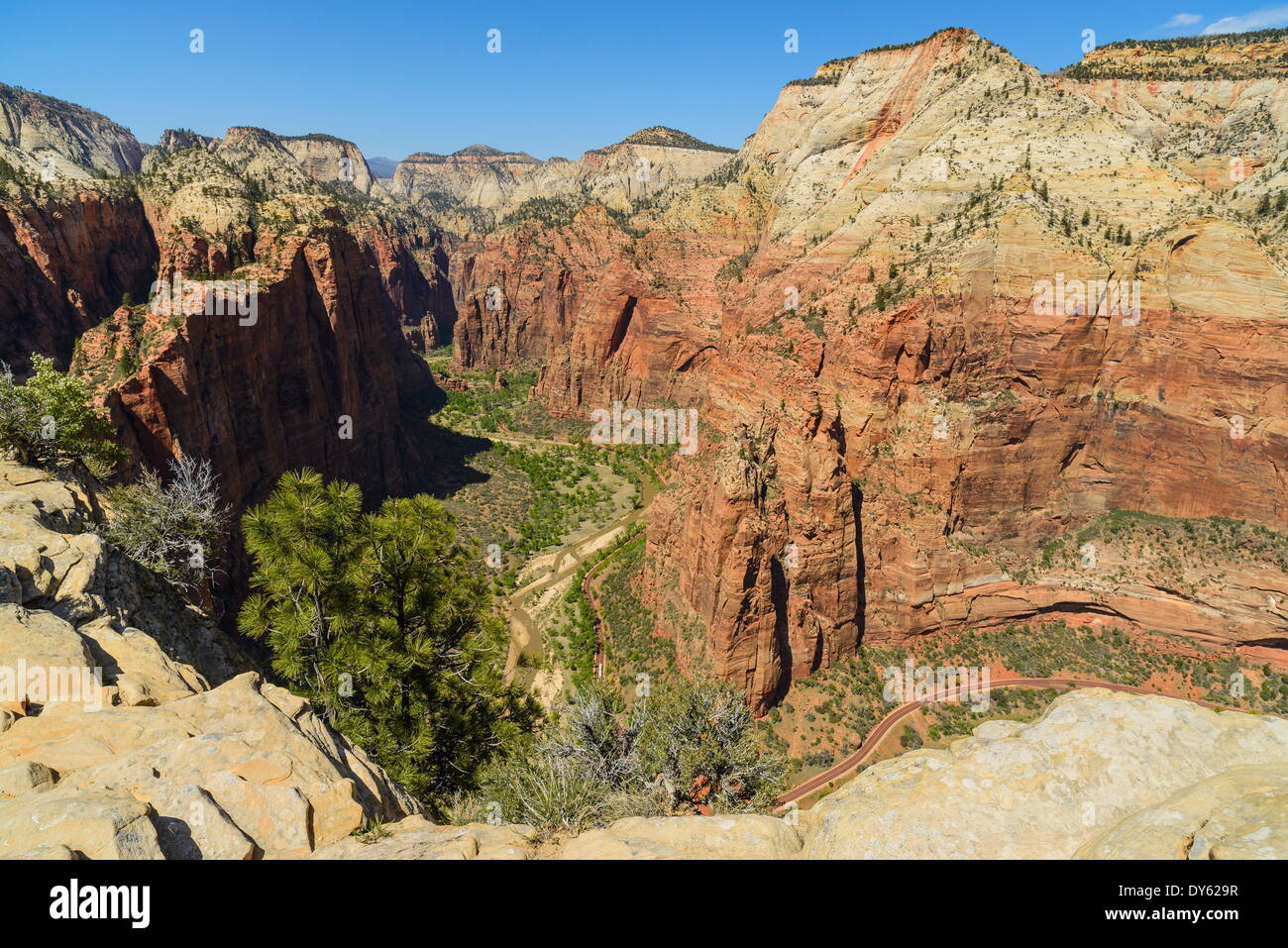 Blick von Angels Landing, Zion Nationalpark, Utah, Vereinigte Staaten von Amerika, Nordamerika Stockfoto