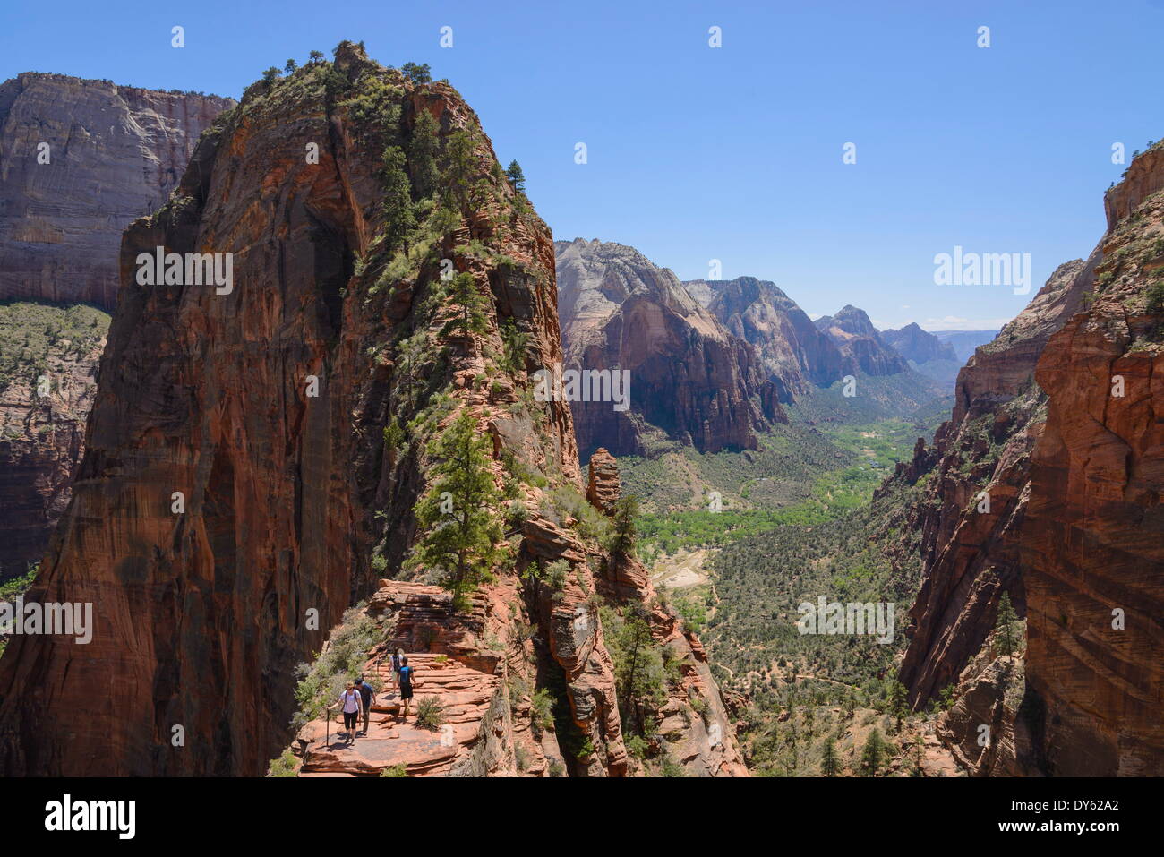 Trail zu Angels Landing, Zion Nationalpark, Utah, Vereinigte Staaten von Amerika, Nordamerika Stockfoto