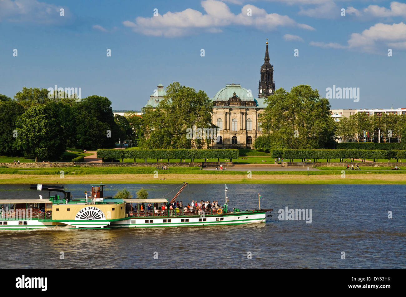 Blick über die Elbe auf Neustadt, Dampfer, Dresden, Deutschland Stockfoto