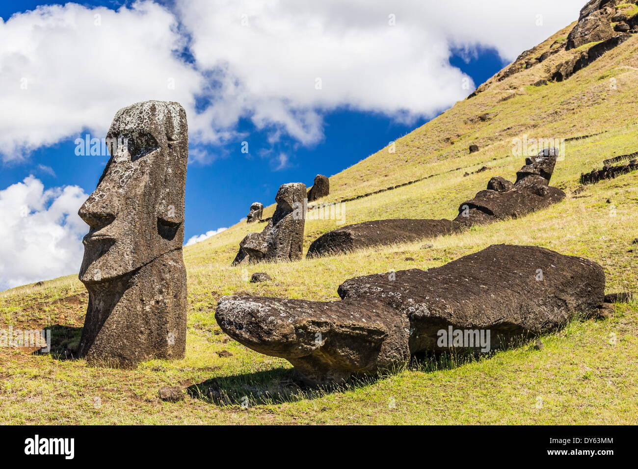 Rano Raraku, der Steinbruch für alle Moai Statuen auf den Osterinseln (Isla de Pascua) (Rapa Nui), der UNESCO, Chile Stockfoto