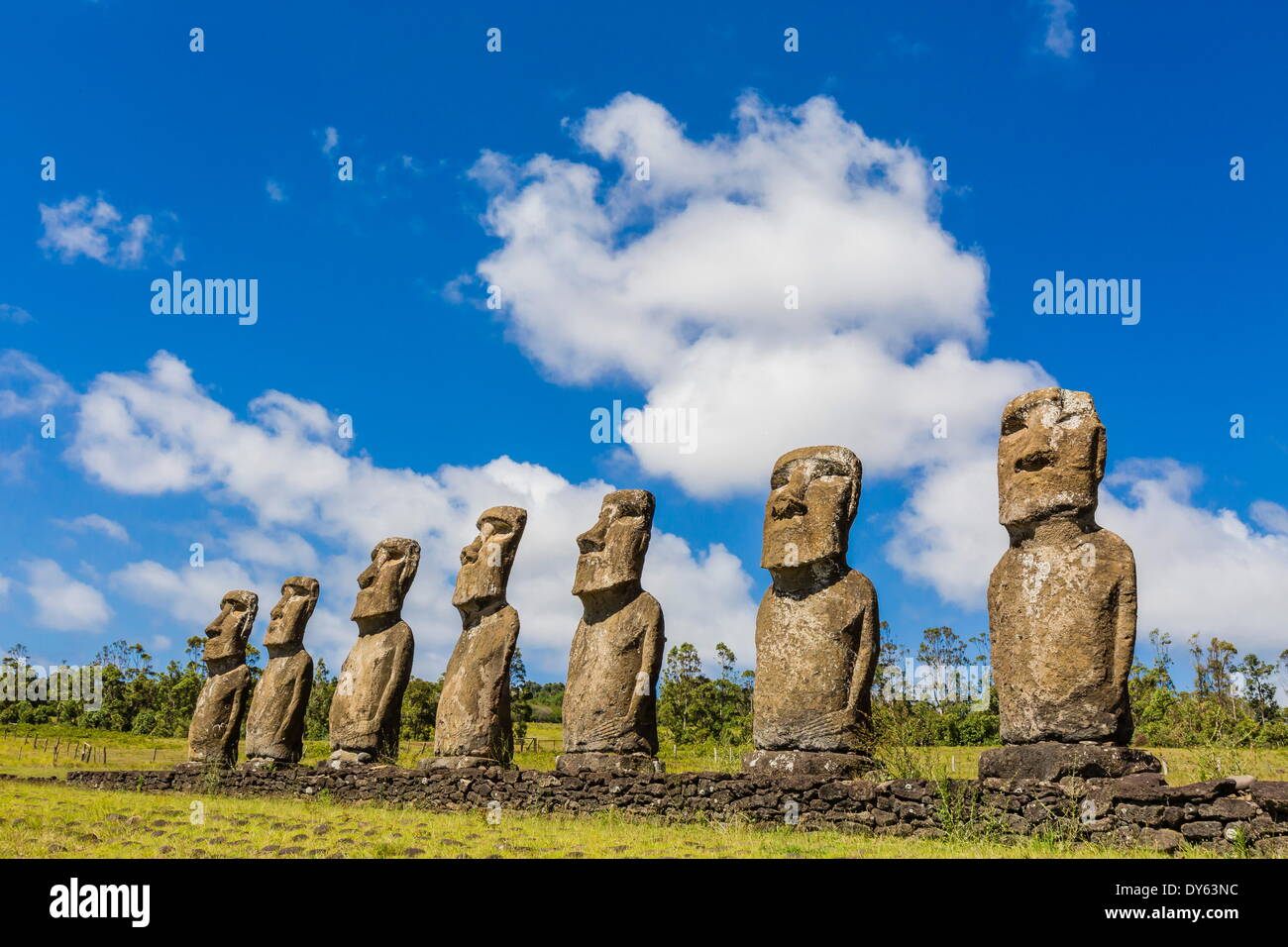 Sieben Moais am Ahu Akivi, der erste restaurierte Altar auf Ostern Insel (Isla de Pascua) (Rapa Nui), der UNESCO, Chile Stockfoto