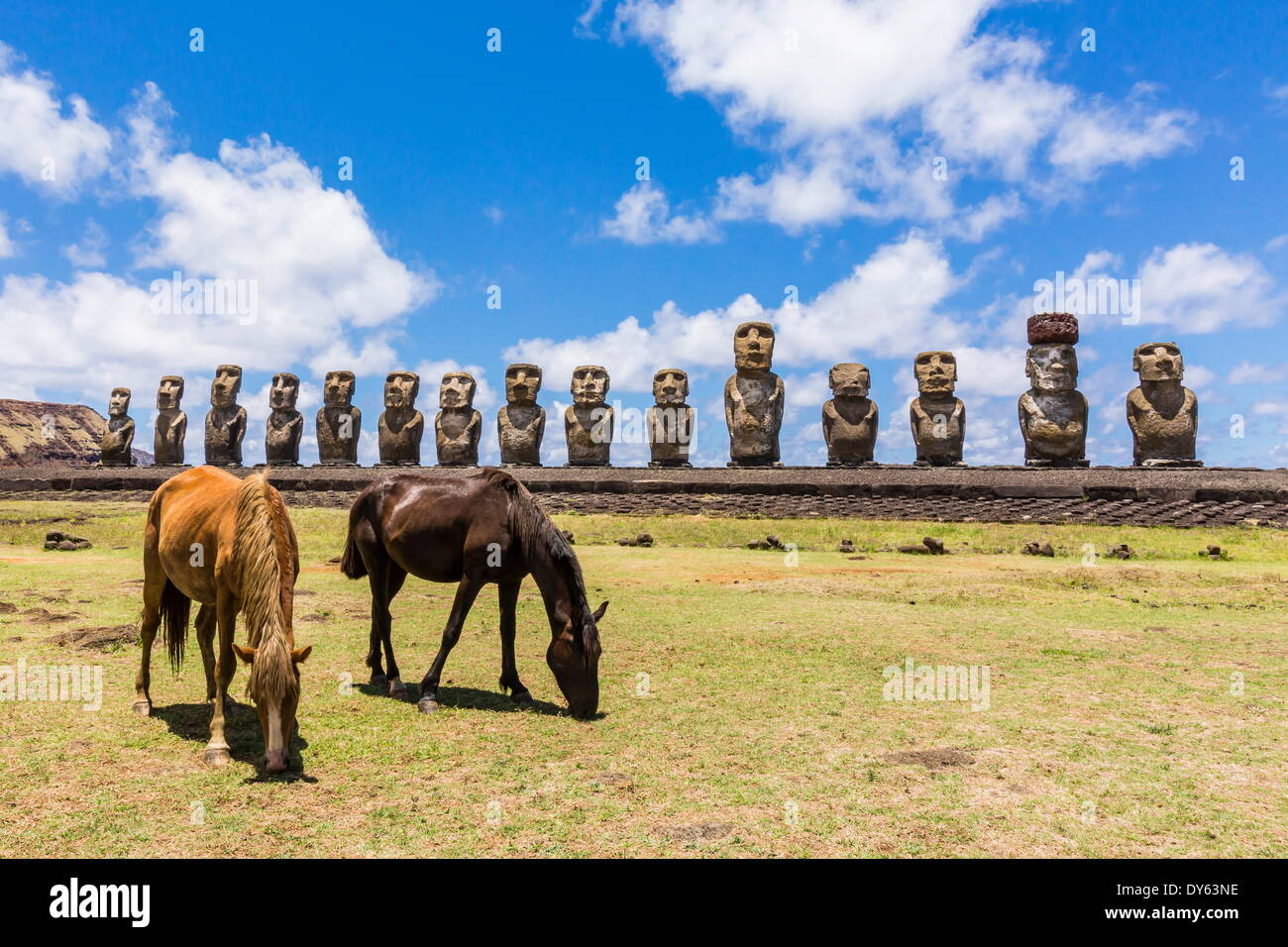 Pferde grasen auf den restaurierten Kultstätte der Ahu Tongariki auf Ostern Insel (Isla de Pascua) (Rapa Nui), der UNESCO, Chile Stockfoto