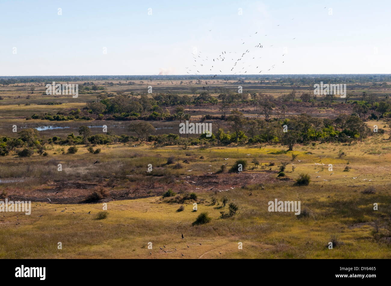 Luftaufnahme des Okavango Delta, Botswana, Afrika Stockfoto