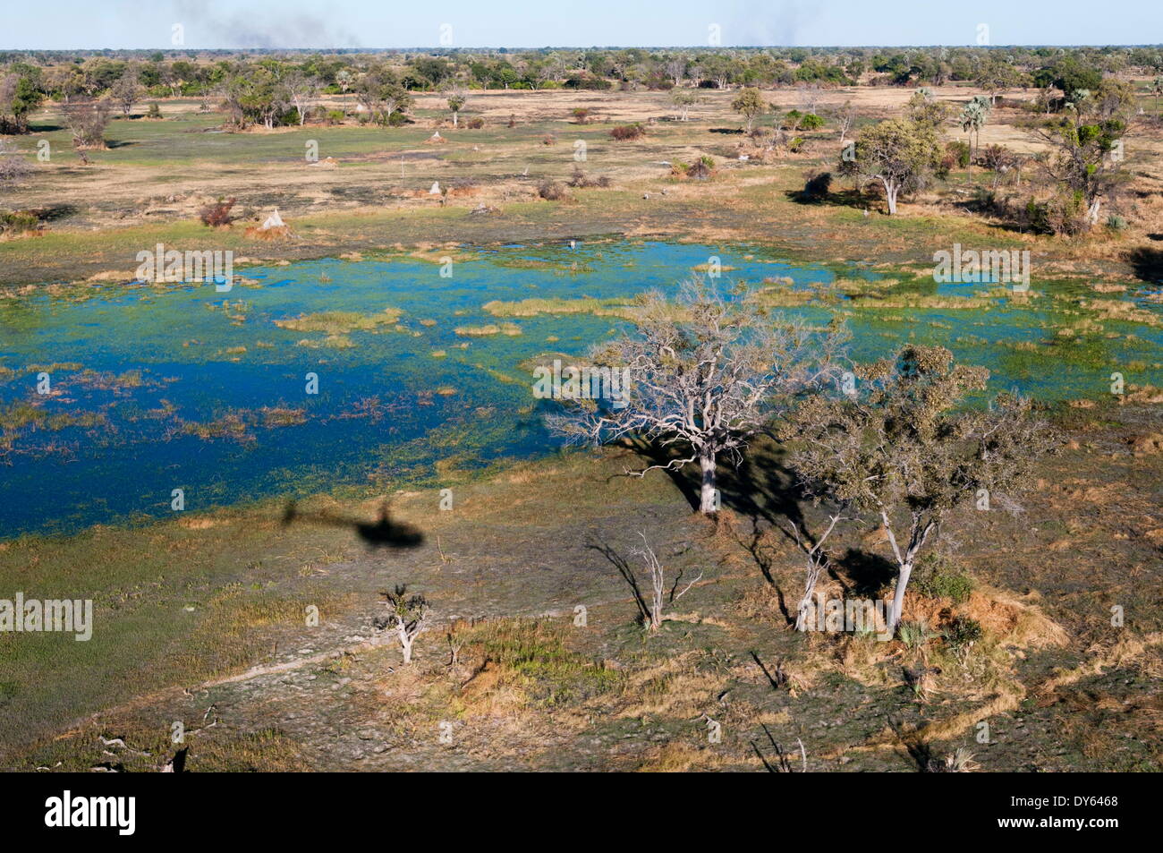 Luftaufnahme des Okavango Delta, Botswana, Afrika Stockfoto