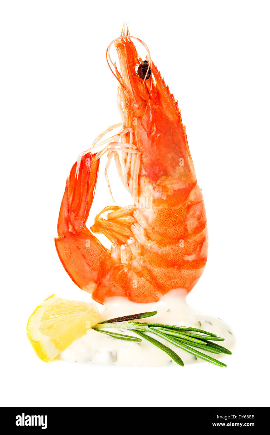 Riesengarnele isoliert Fotos und Bildmaterial in hoher Auflösung Alamy