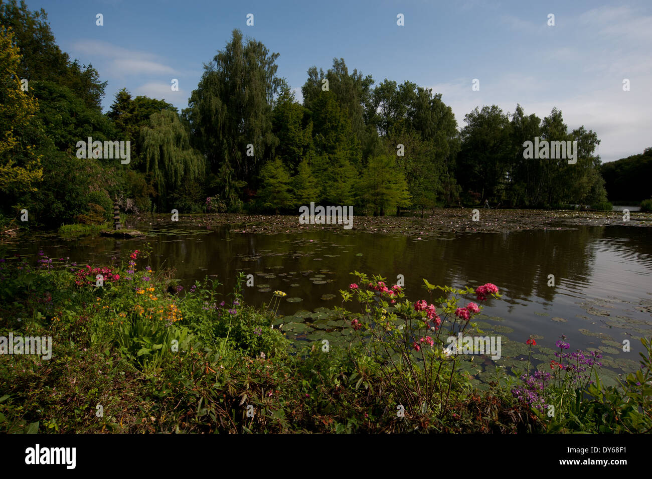 Schlosspark Dennenlohe • Landkreis Ansbach, Bayern, Deutschland, Deutschland Stockfoto