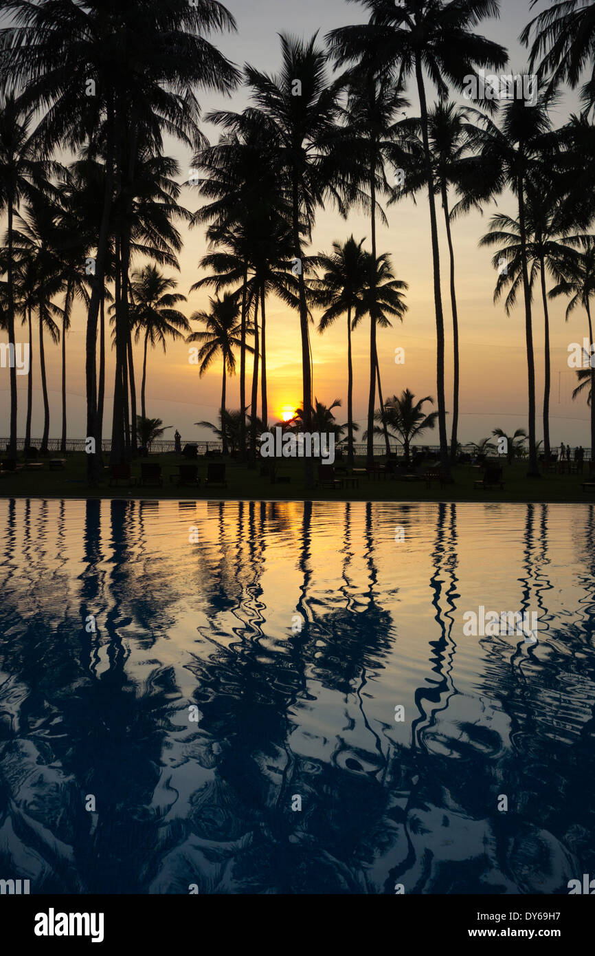 Palmen Sie und Schwimmbad in Wadduwa Hotel in Sri Lanka bei Sonnenuntergang Stockfoto