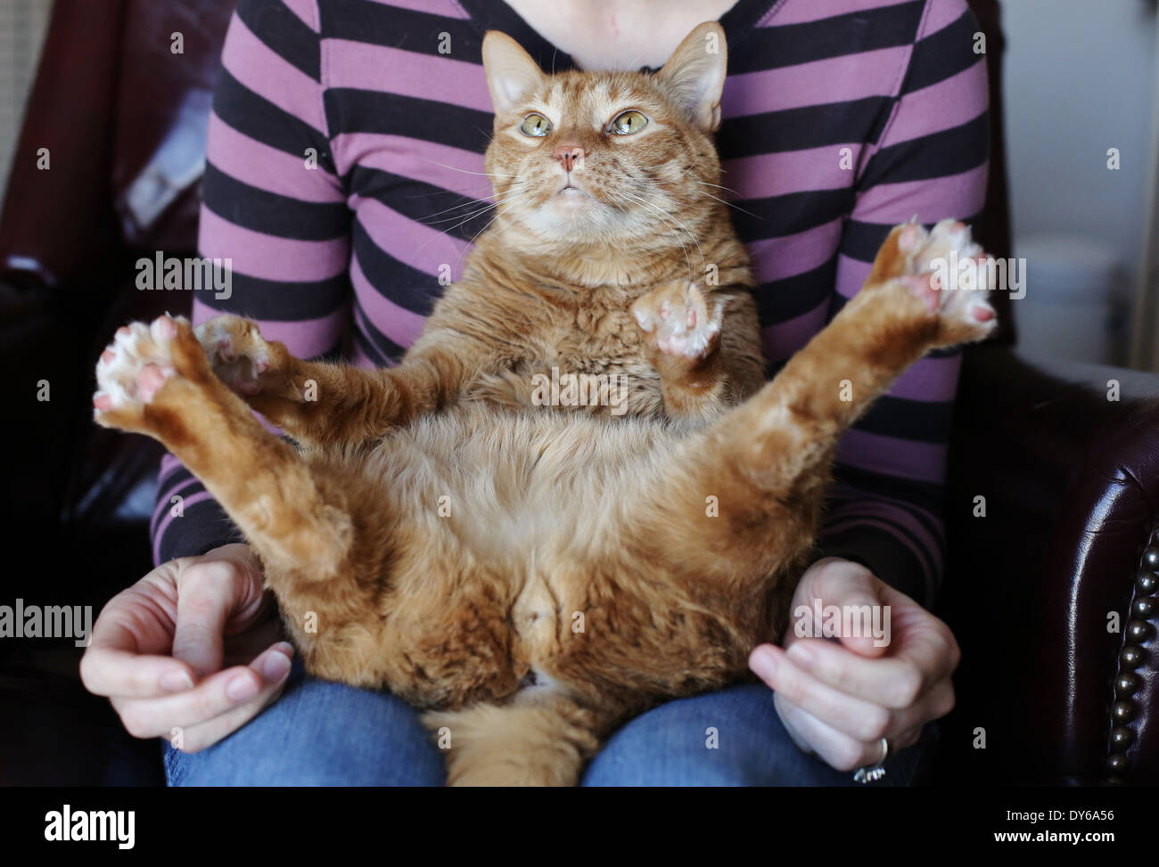 Gespreizte Beine Stockfotos und bilder Kaufen Alamy