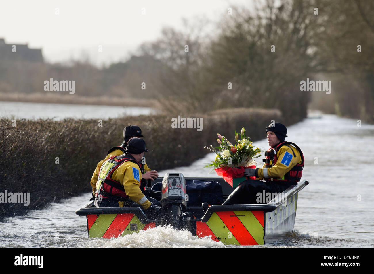 Überschwemmungen an der Somerset Ebene - eine Polizei Rettung Team liefern ein Blumenstrauß in Kondolenzschreiben an ein Bewohner von Muchelne gesendet Stockfoto