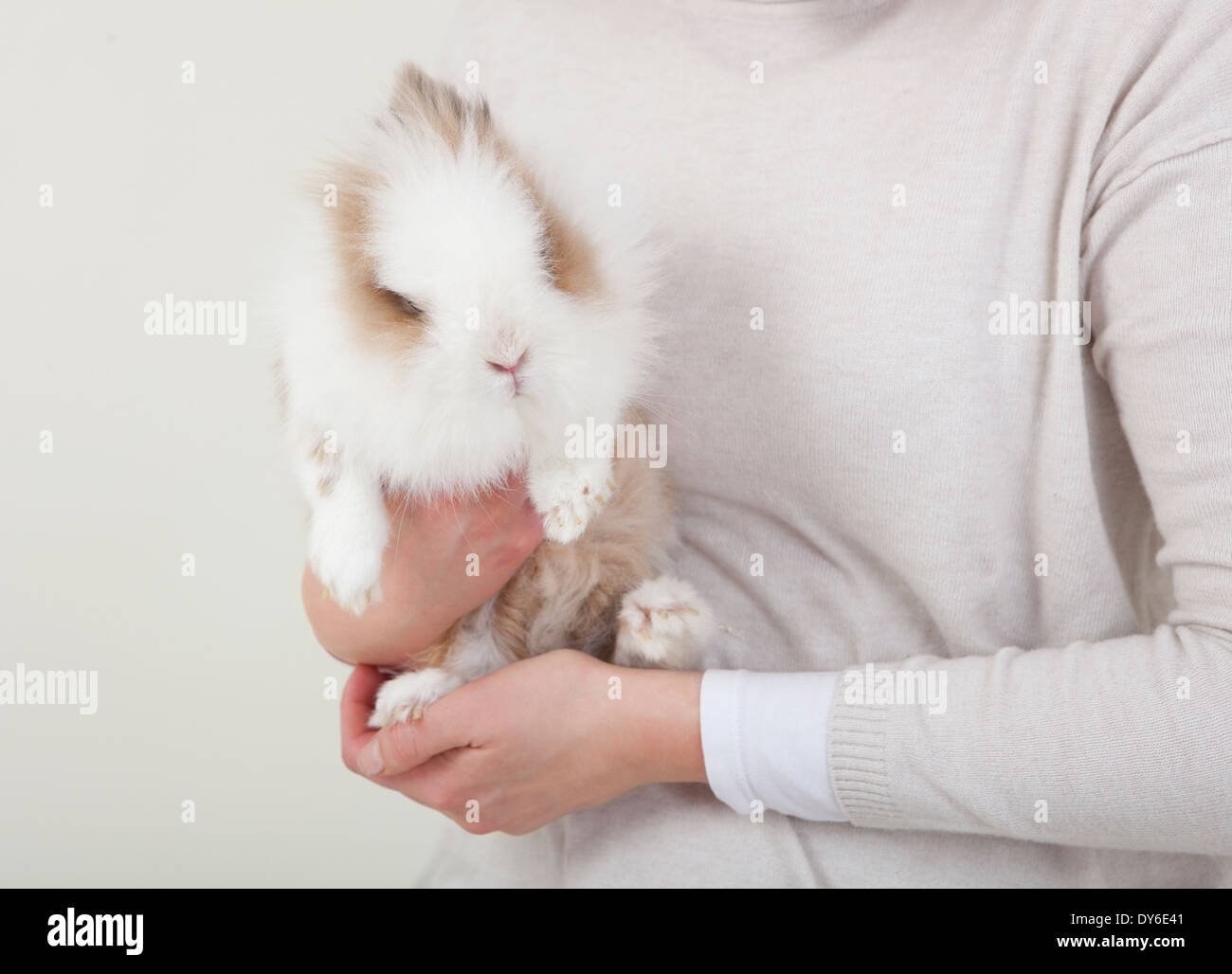Kaninchen mit langen weißen Pelz auf dem Arm einer Frau Stockfoto